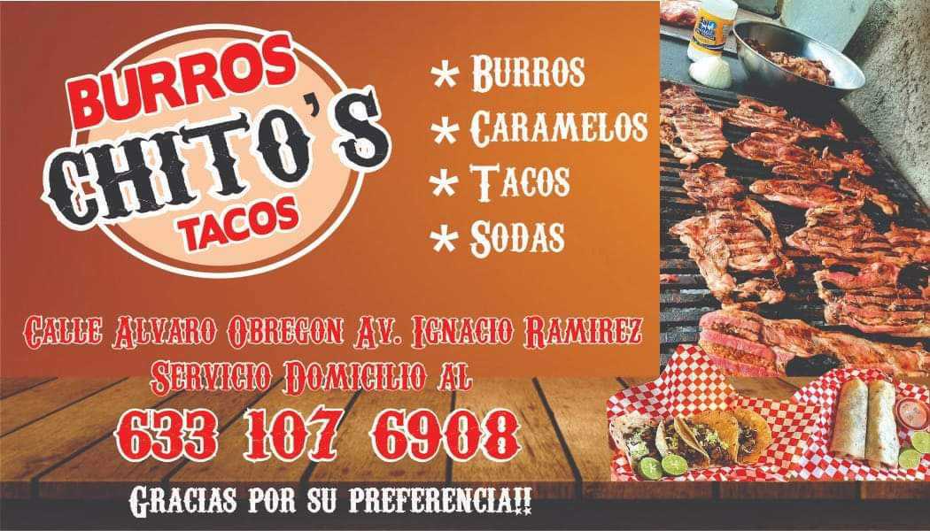 BURROS " CHITO" image 5