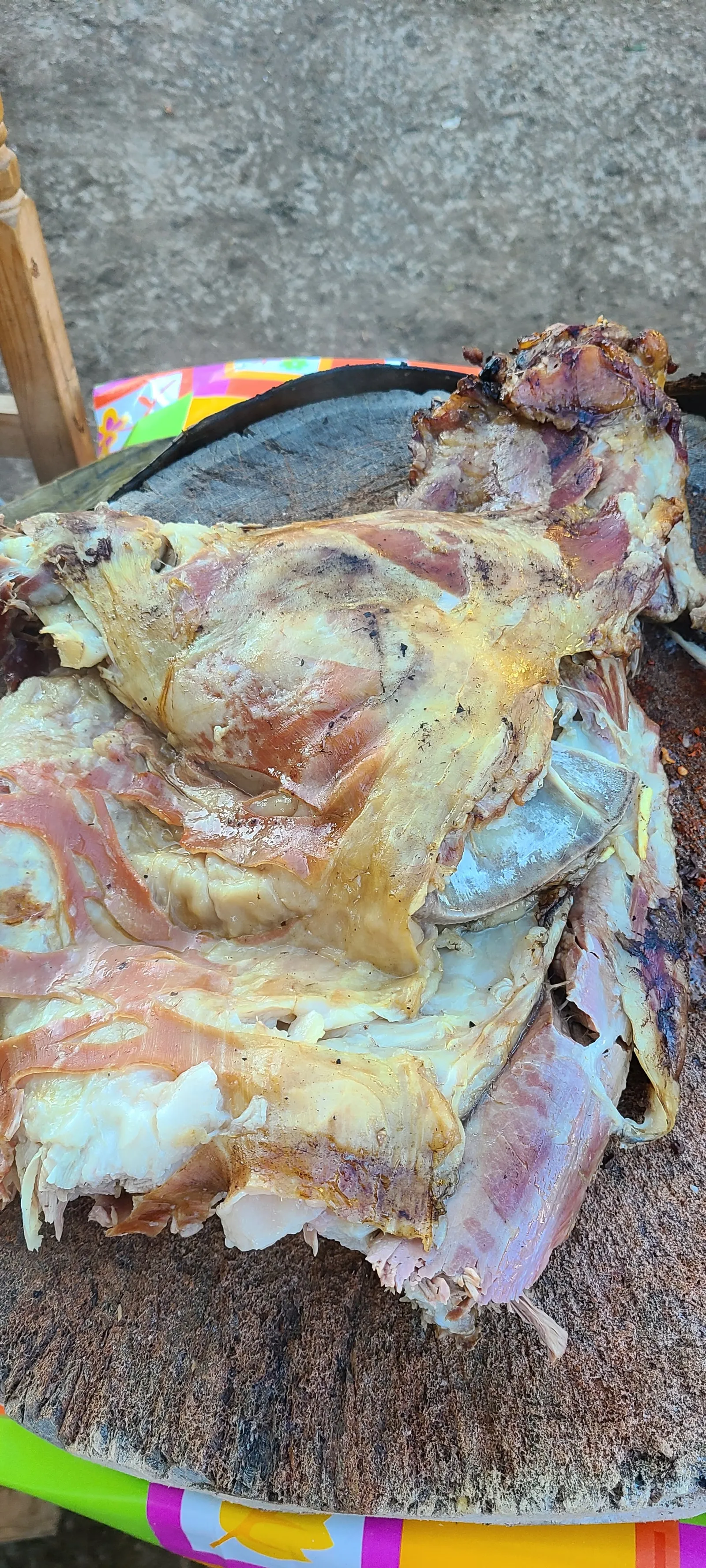 Barbacoa del señor Alberto Montero image 7