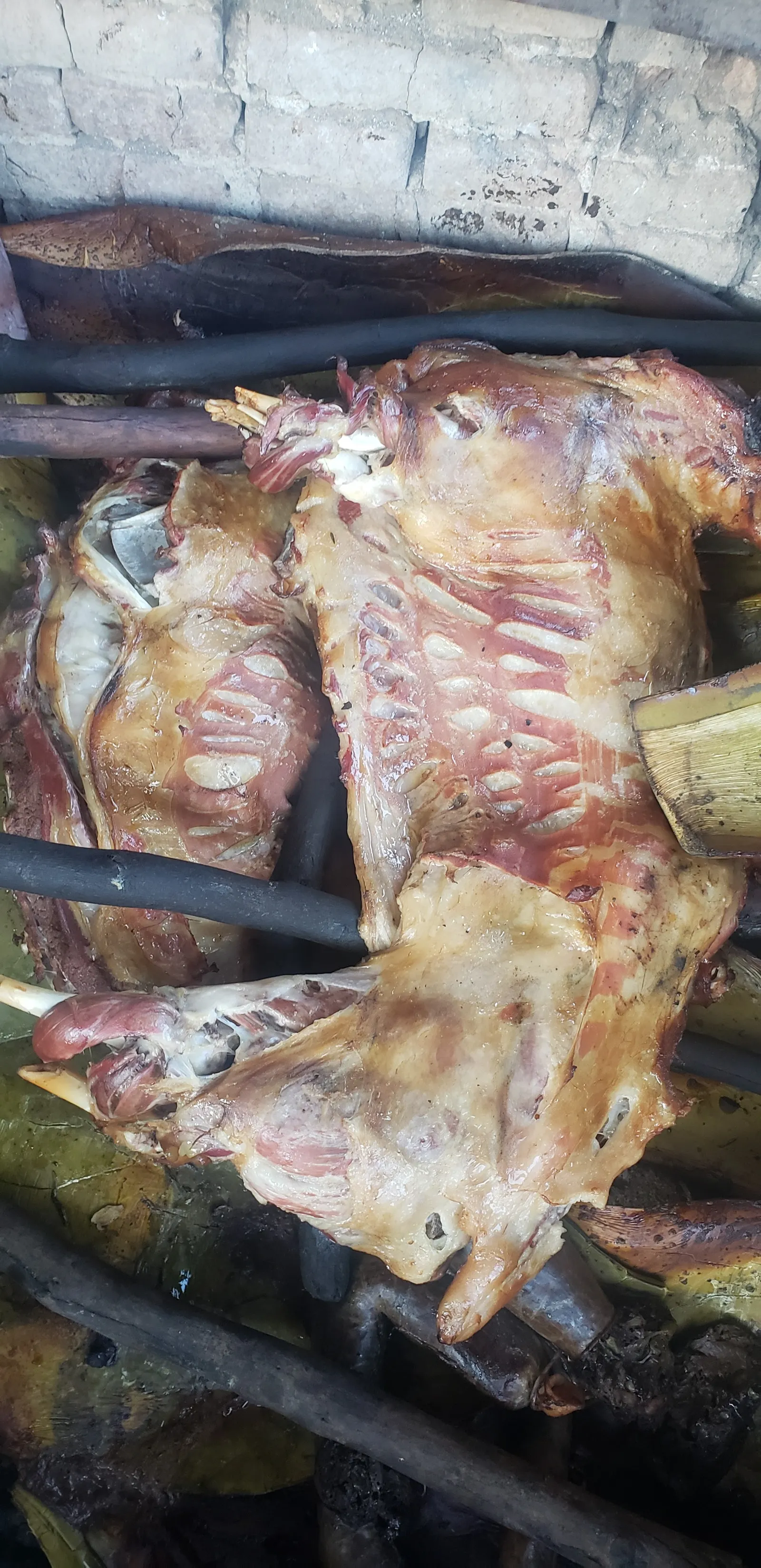 Barbacoa del señor Alberto Montero image 8