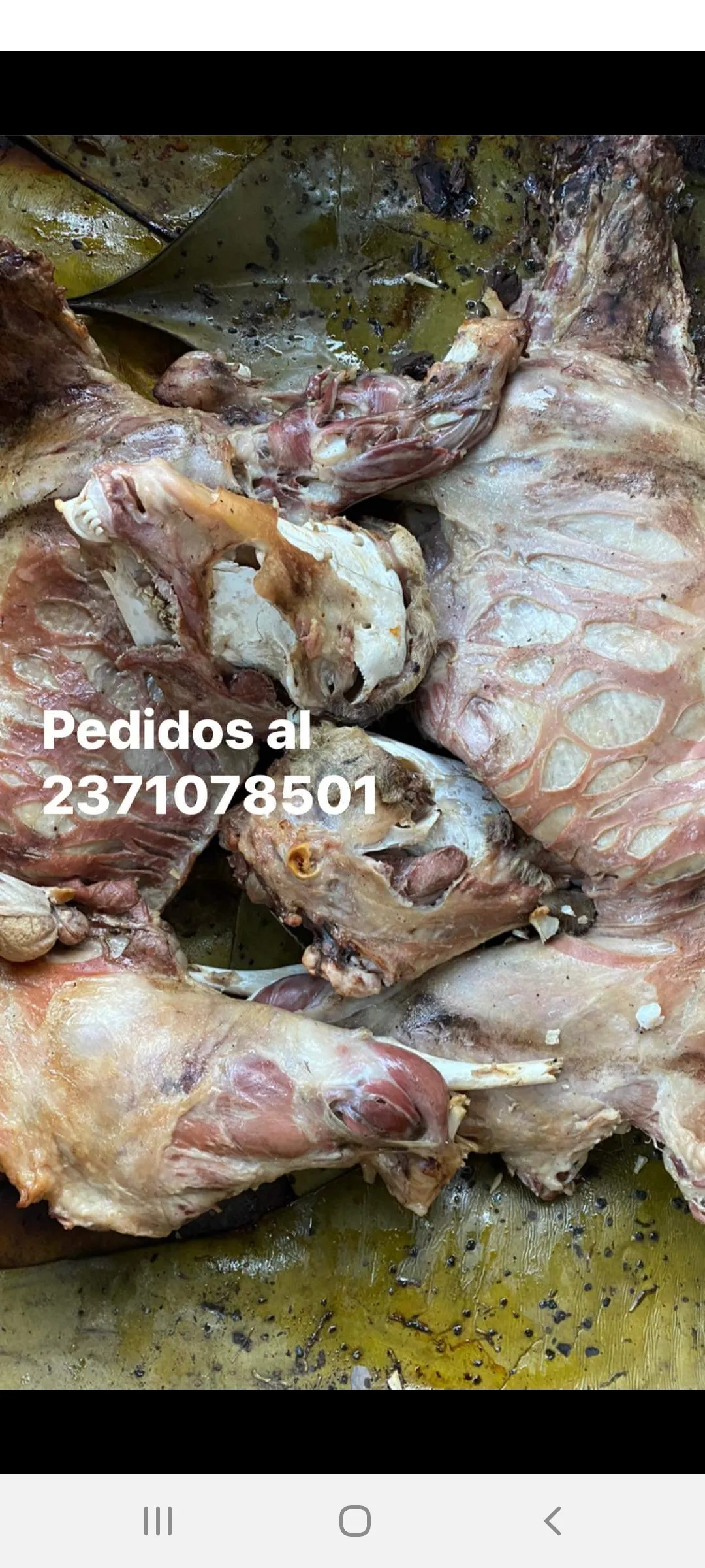 Barbacoa del señor Alberto Montero image 10
