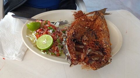 Mariscos Ale image 1