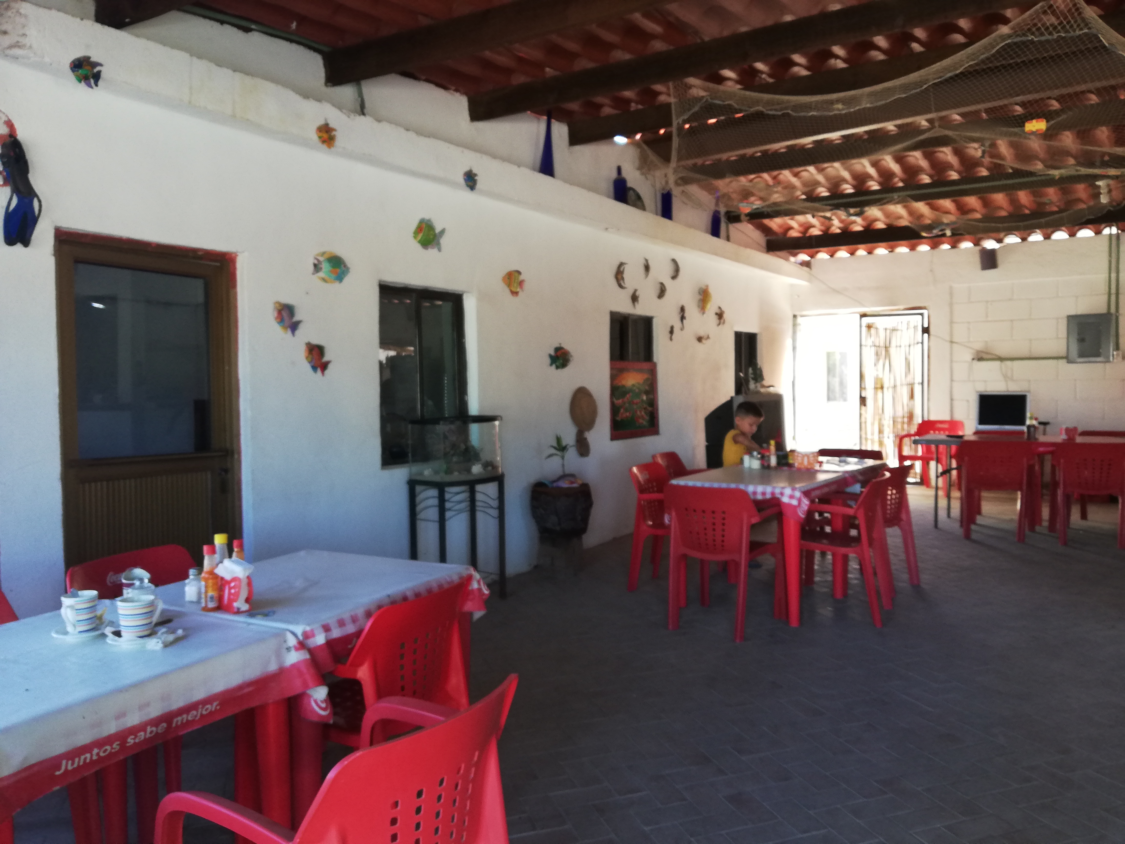 Aqui Con Don Roberto image 1