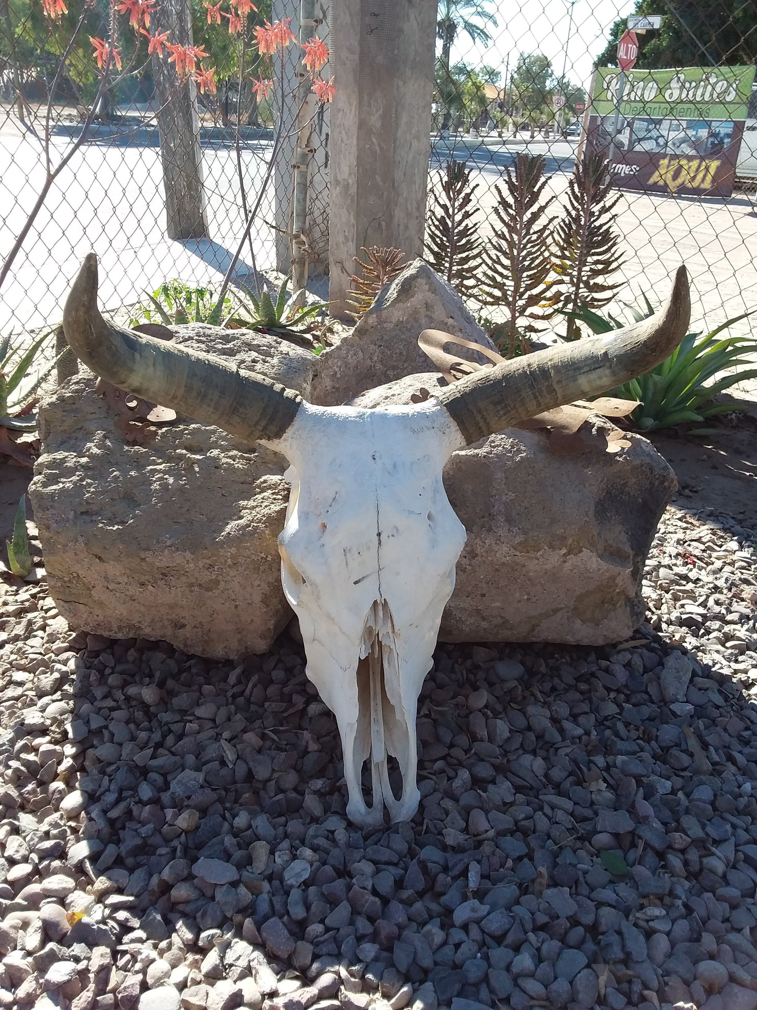 Food Truck El Desierto image 8