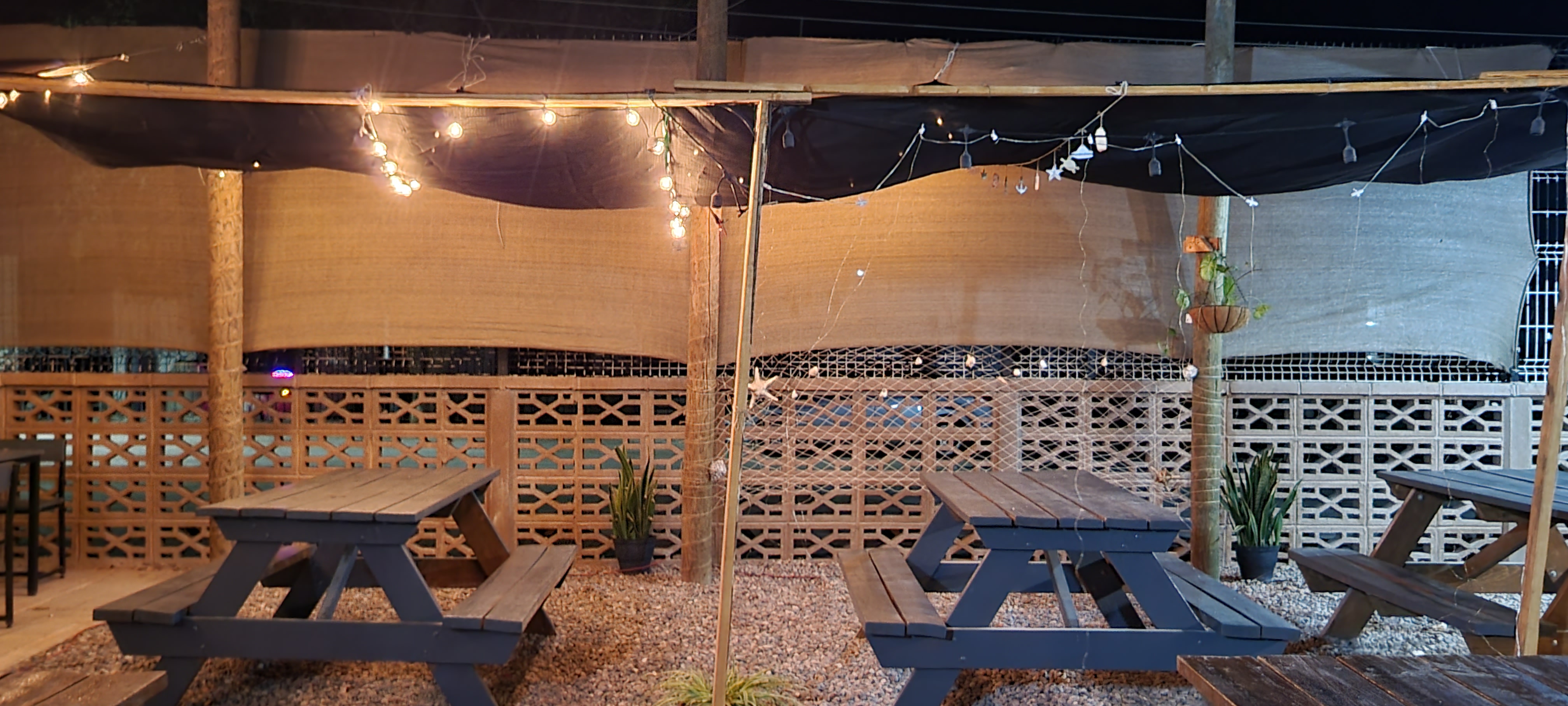 Marengo Bahía de Kino image 1