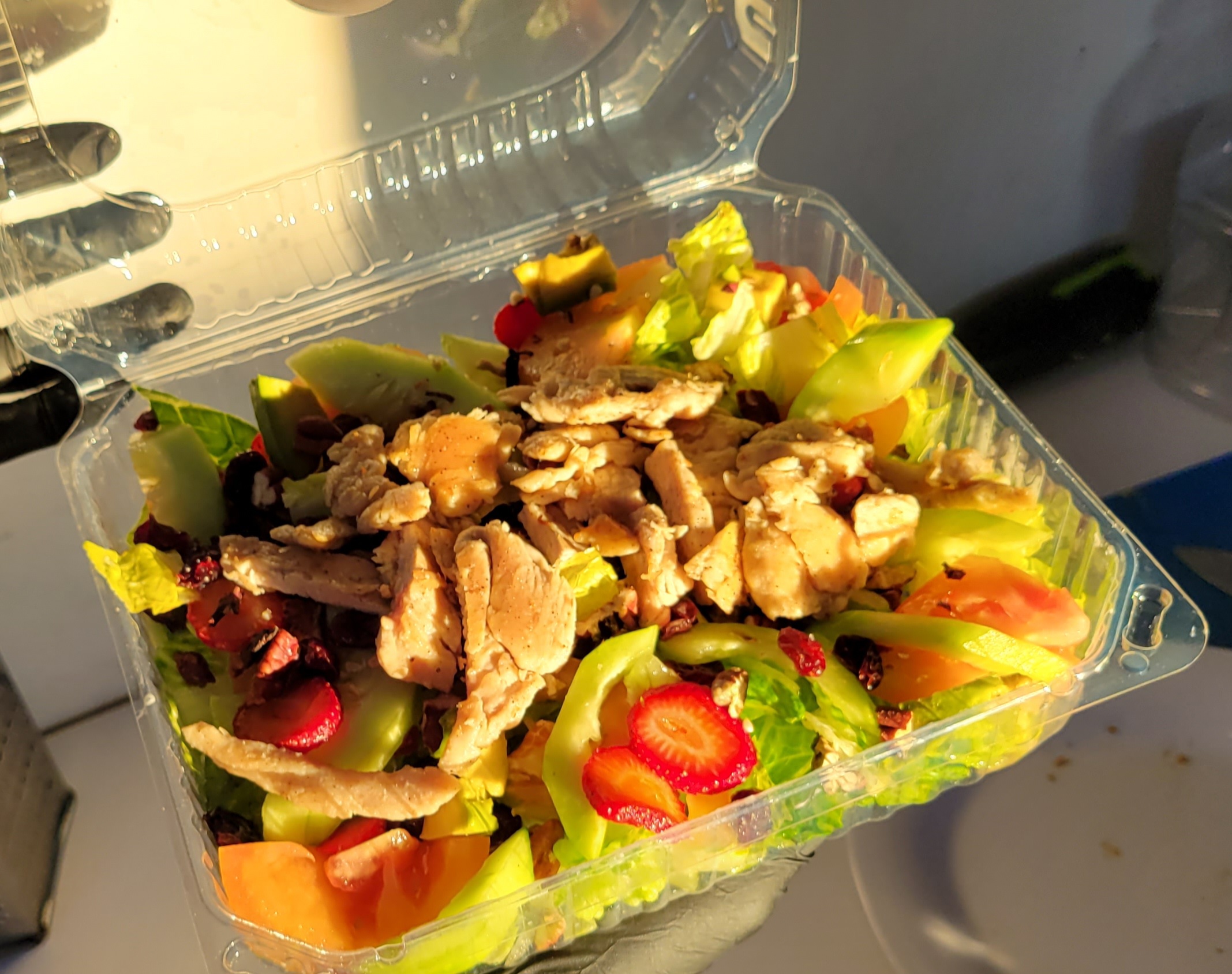 Marengo Bahía de Kino image 6