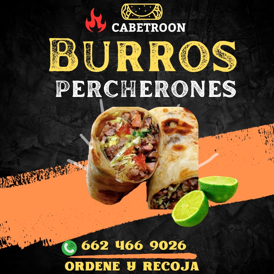 Cabetroon burros percherones image 4