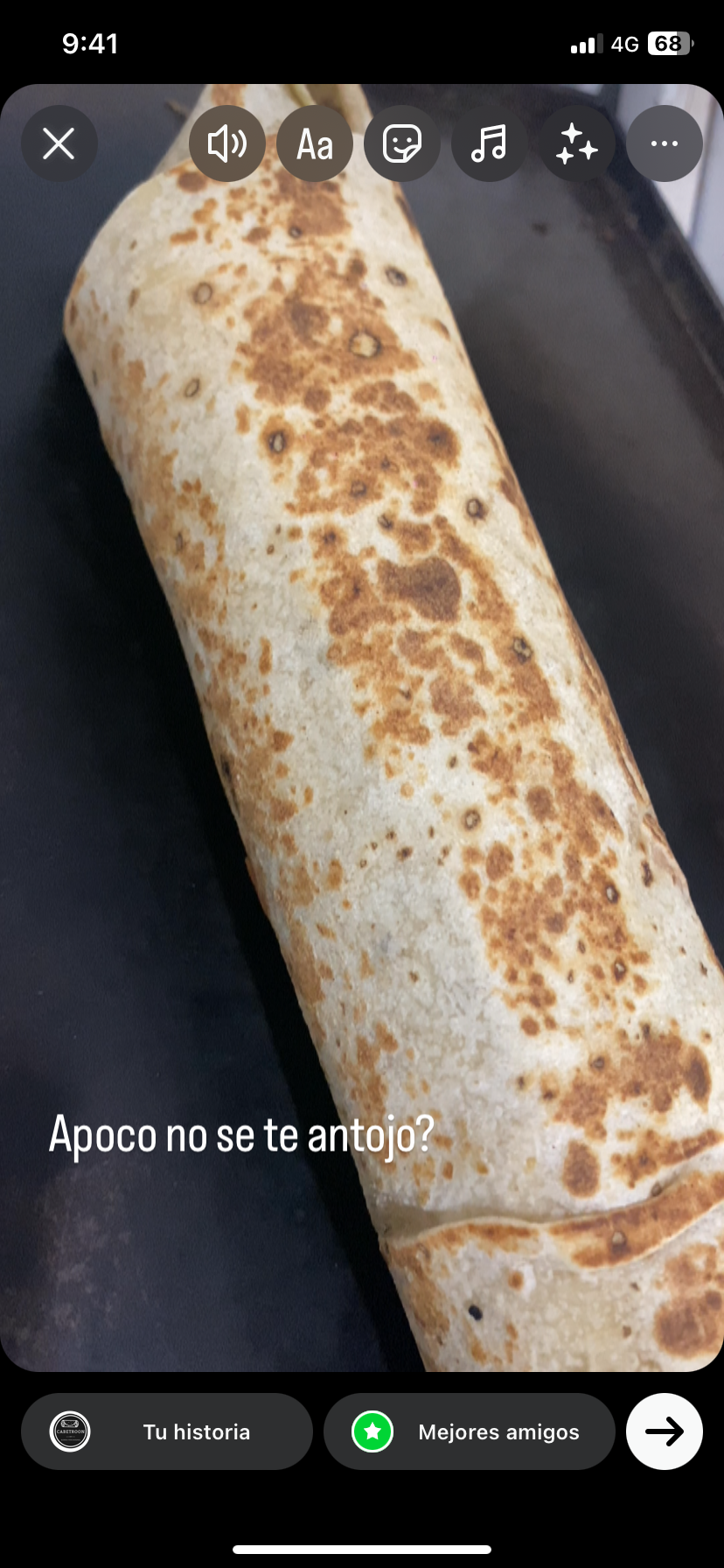 Cabetroon burros percherones image 6