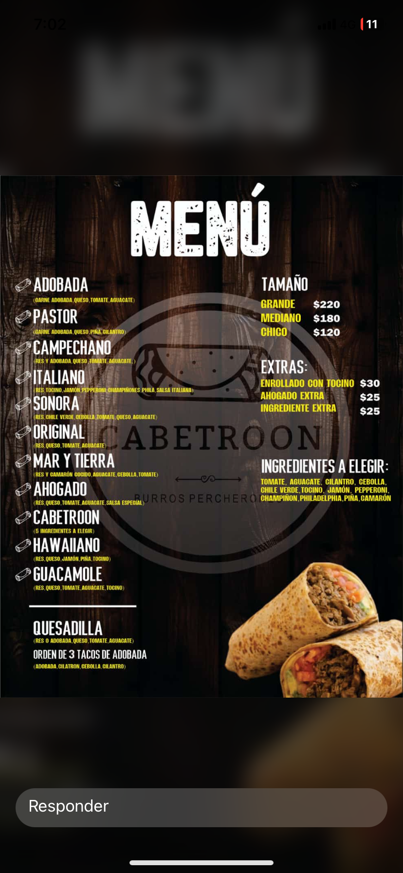 Cabetroon burros percherones image 7