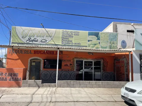 Torteria sofia image 1