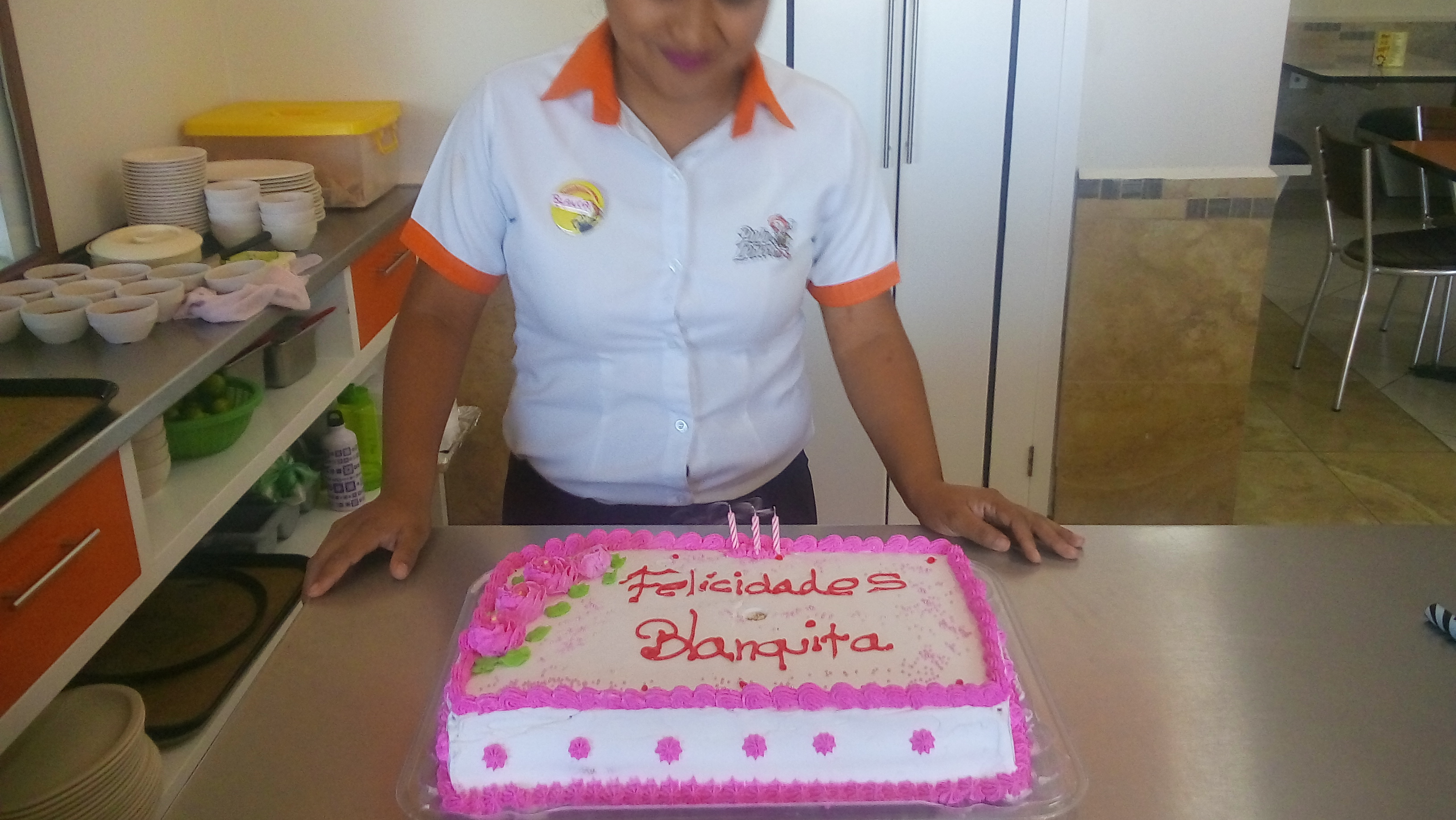 Pollo Leñero image 10