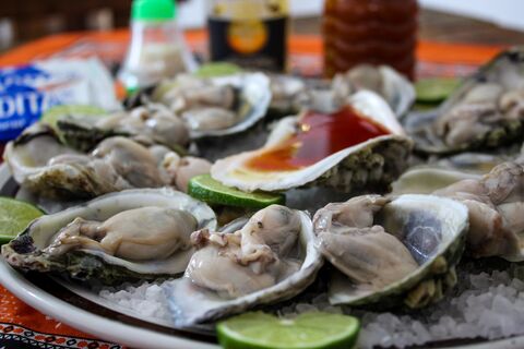 Jarochos Mariscos & Beer image 4