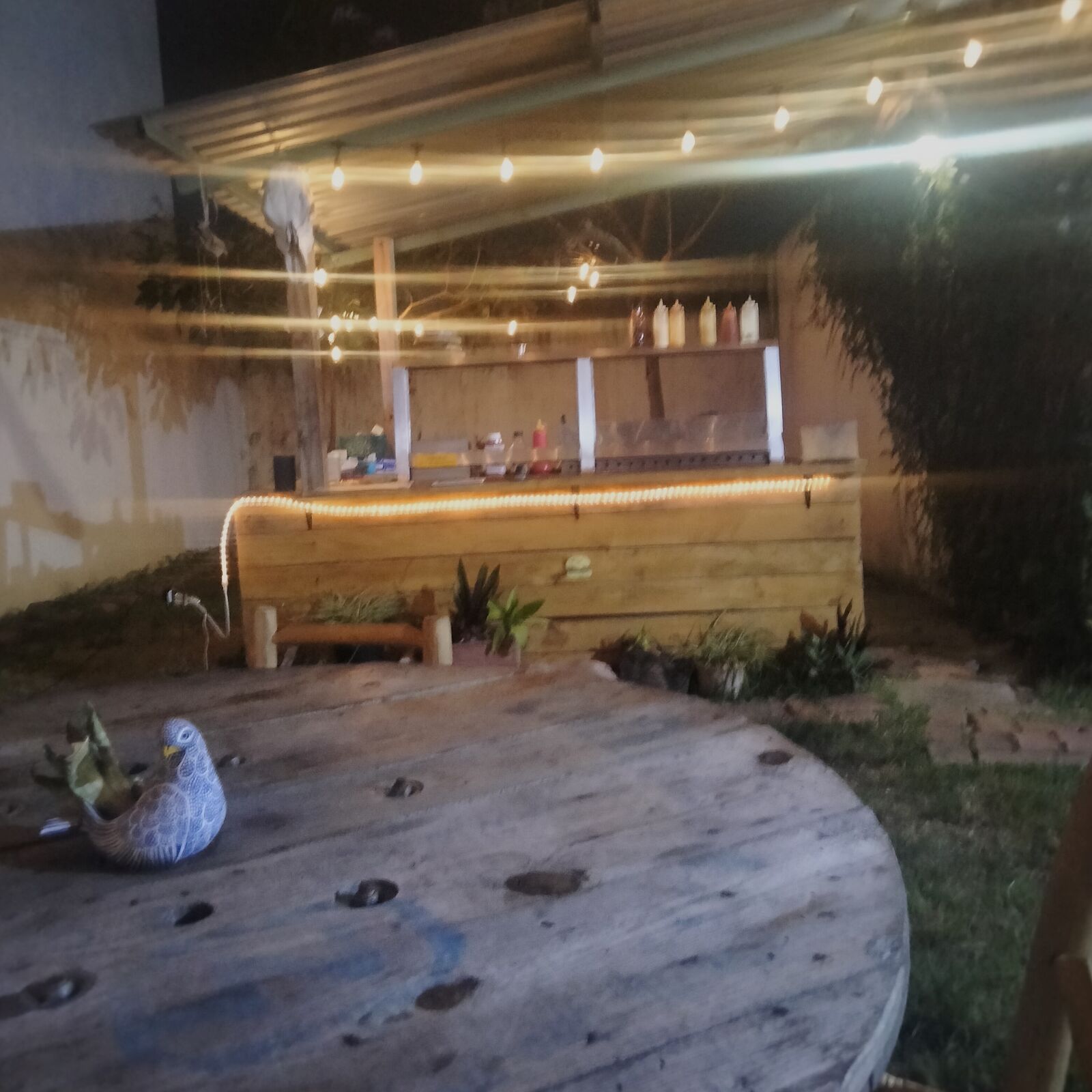 Dogos & Burgers image 10