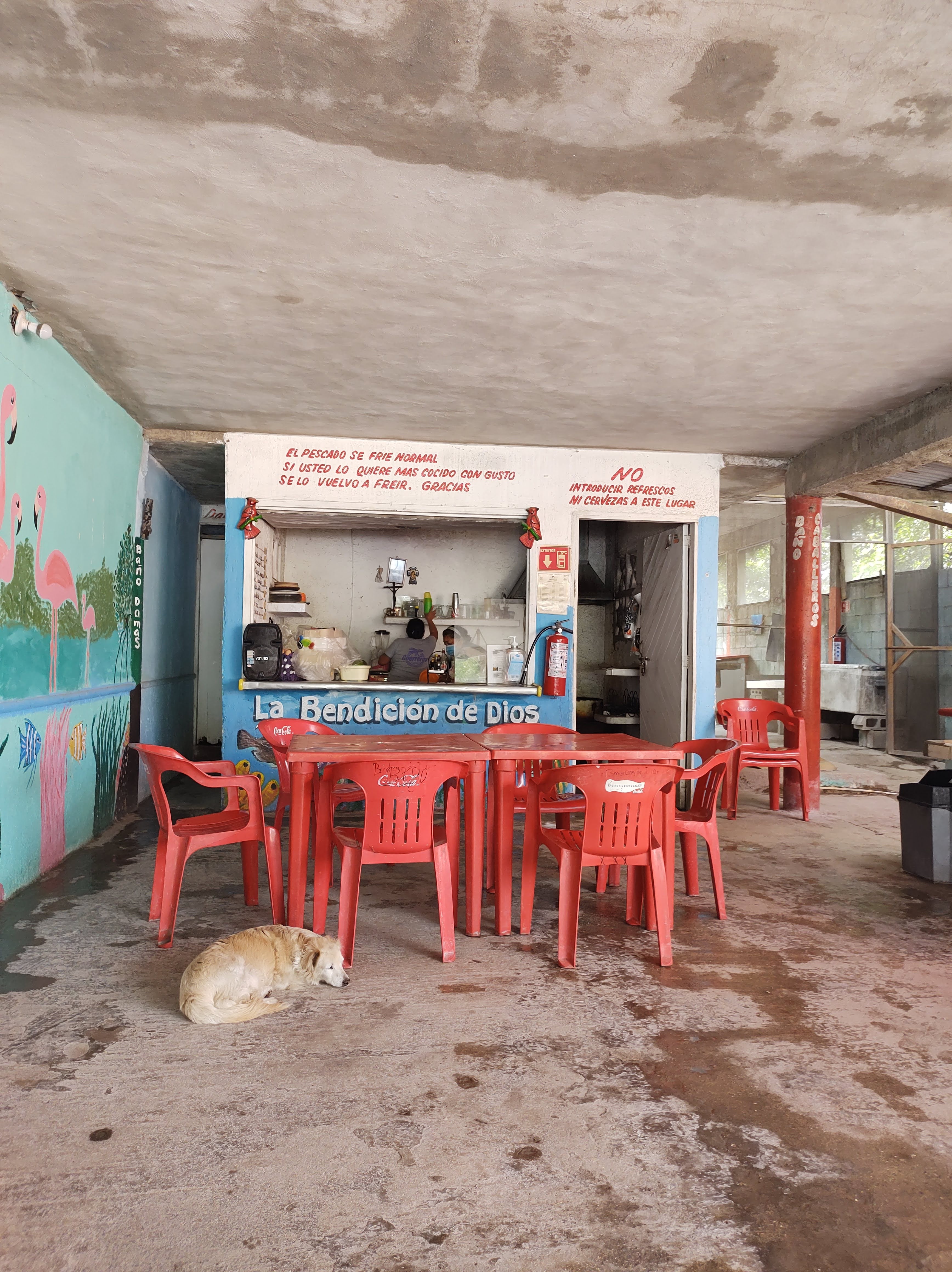 Pescadería La Bendición De Dios image 1