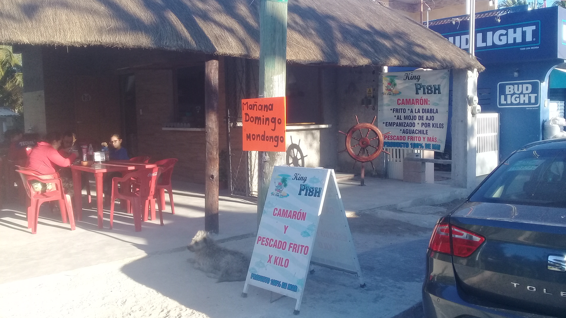 King Fish Restaurante image 2