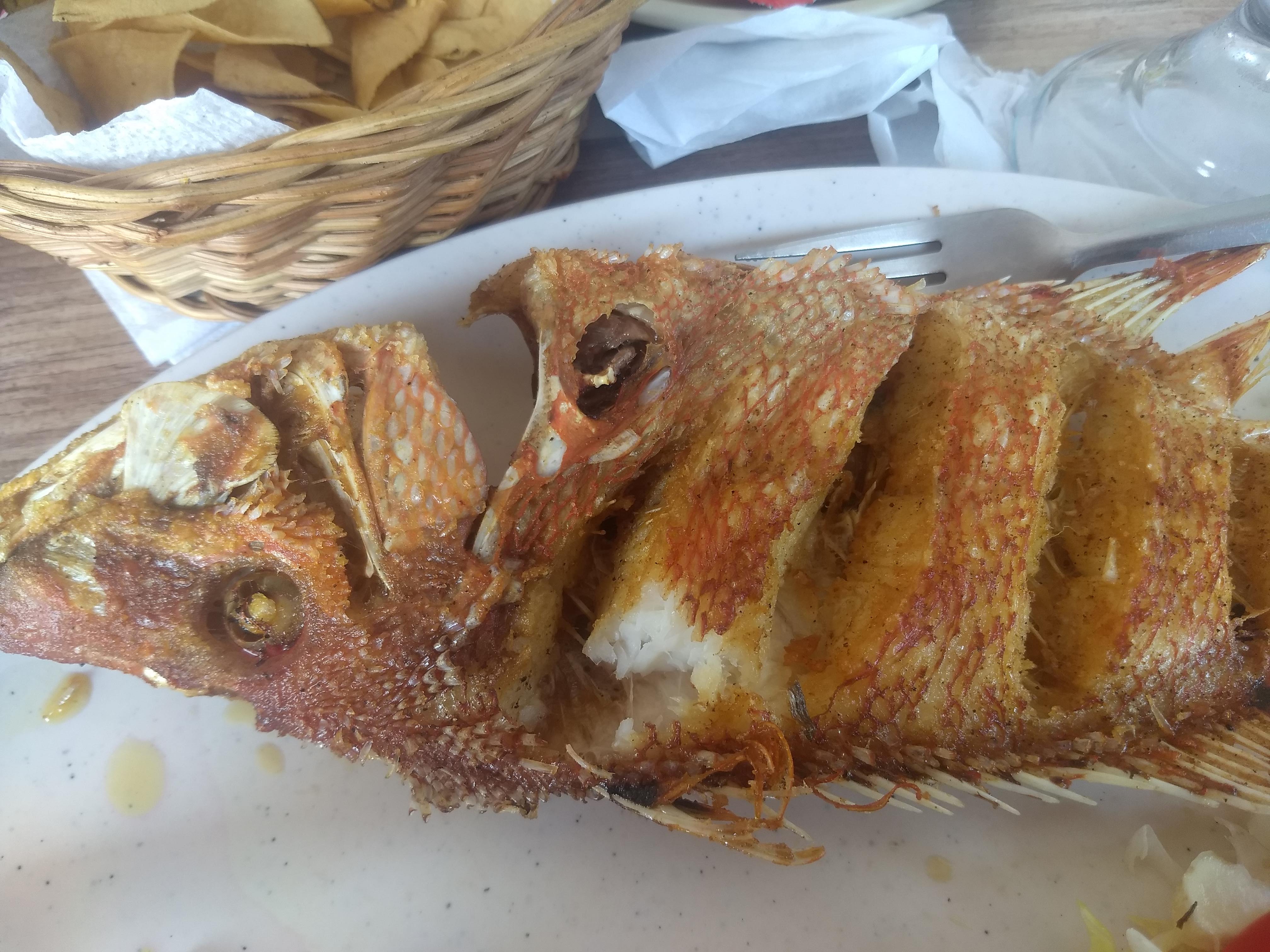 Restaurante Capitan Flores image 10