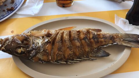 El Pescado Patrullero image 2