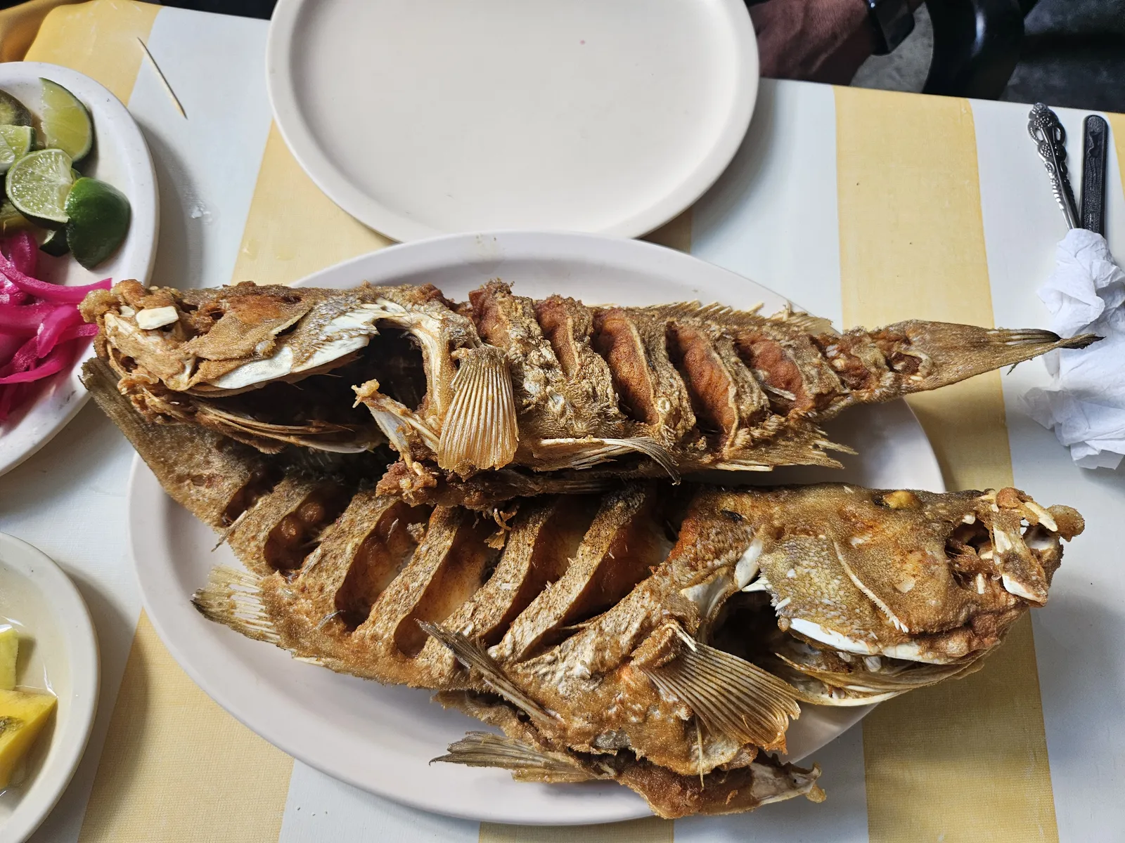 El Pescado Patrullero image 4