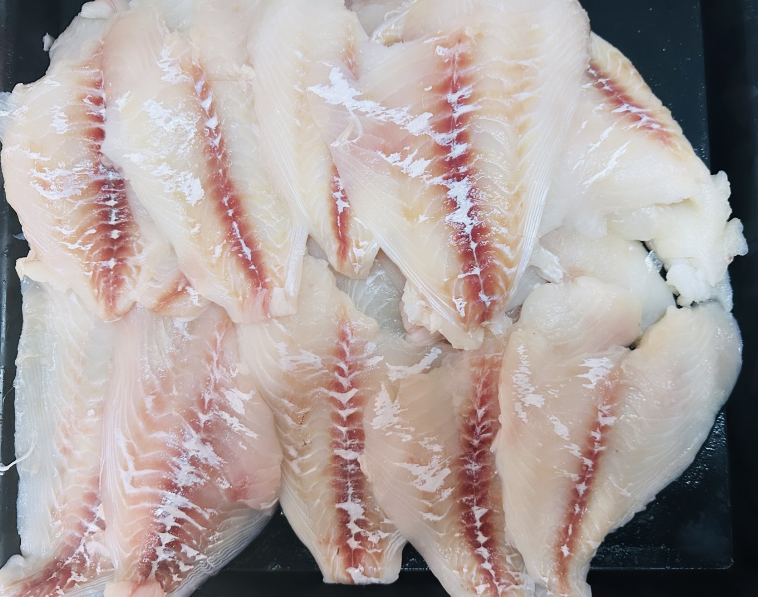 El Arte del Mar image 1