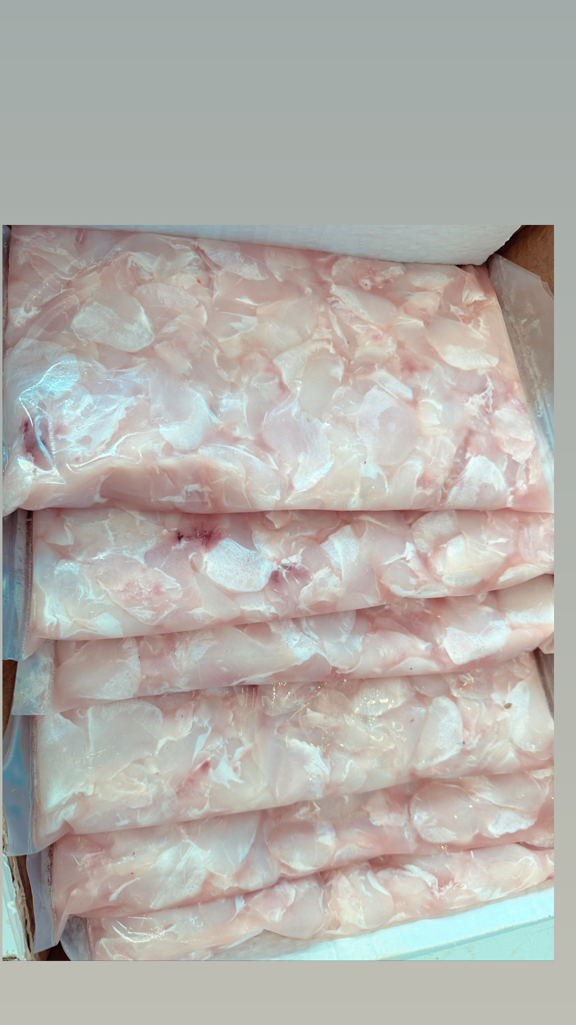 El Arte del Mar image 2