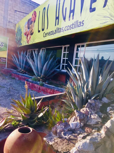 Los Agaves centro chelero y botanero image 5