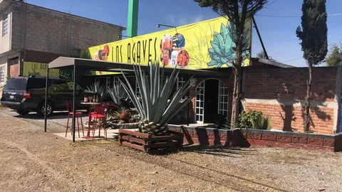 Los Agaves centro chelero y botanero image 7