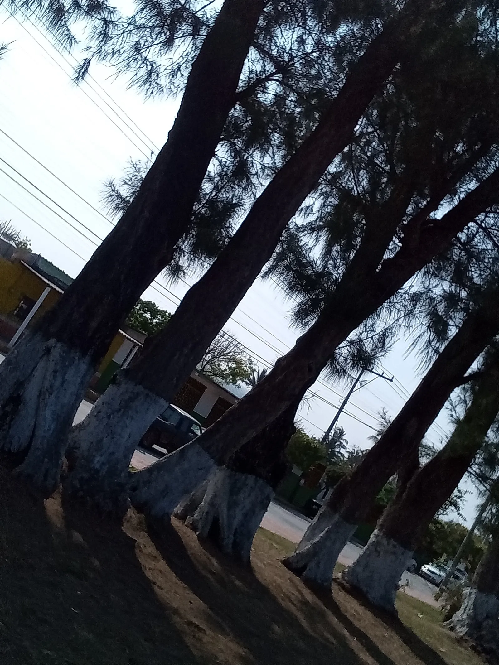 DON ANTON image 5
