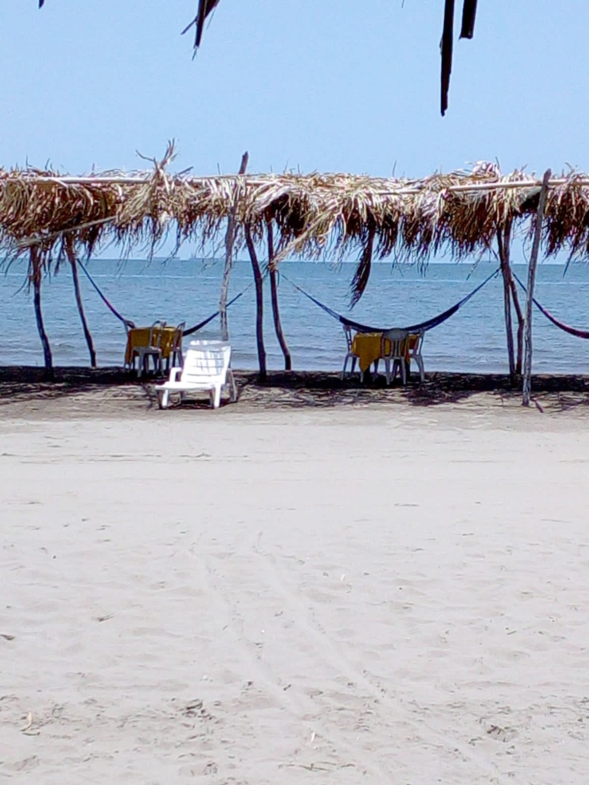 Palapa pantera y Lily Netza image 2