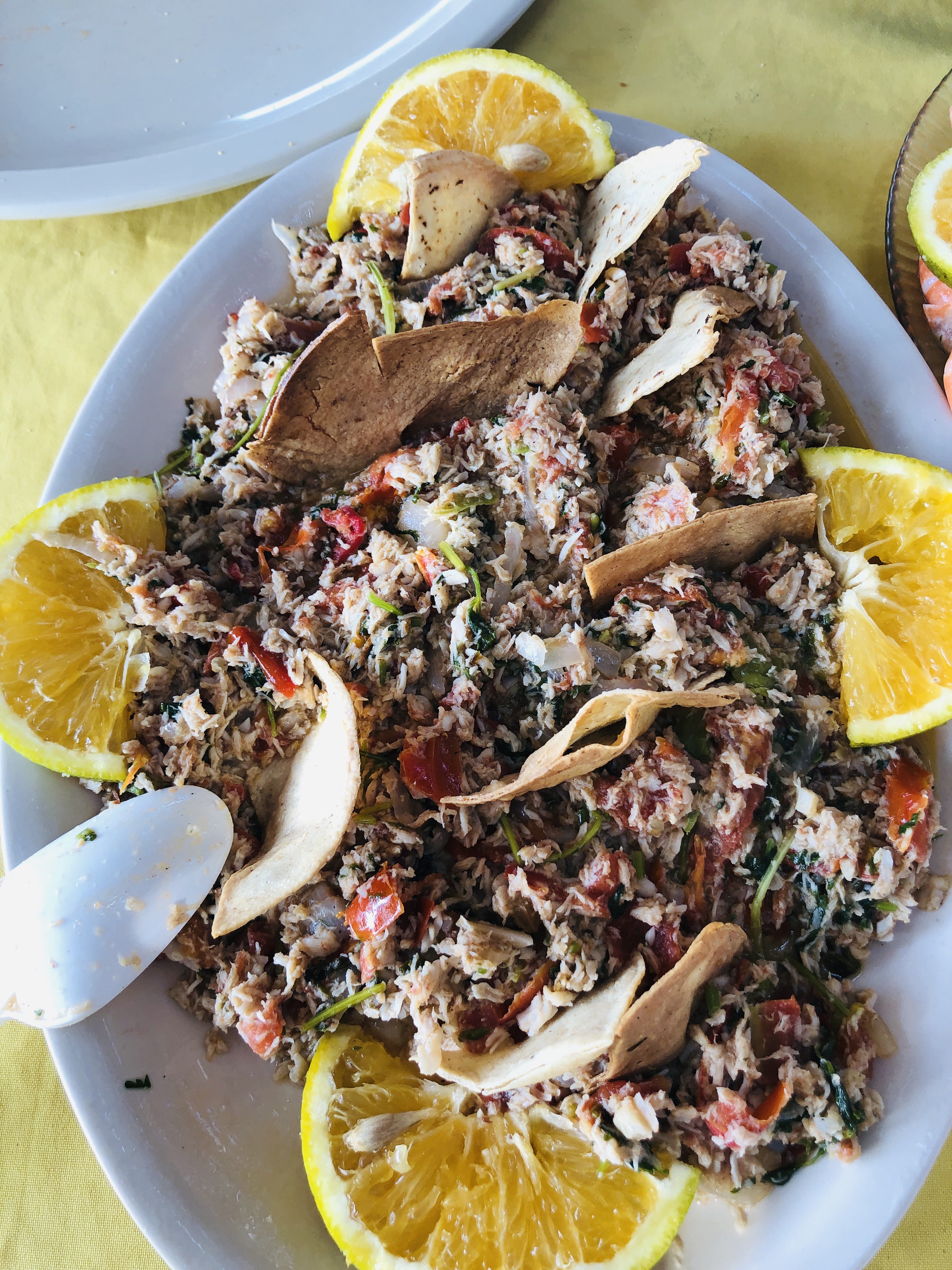 Palapa pantera y Lily Netza image 3