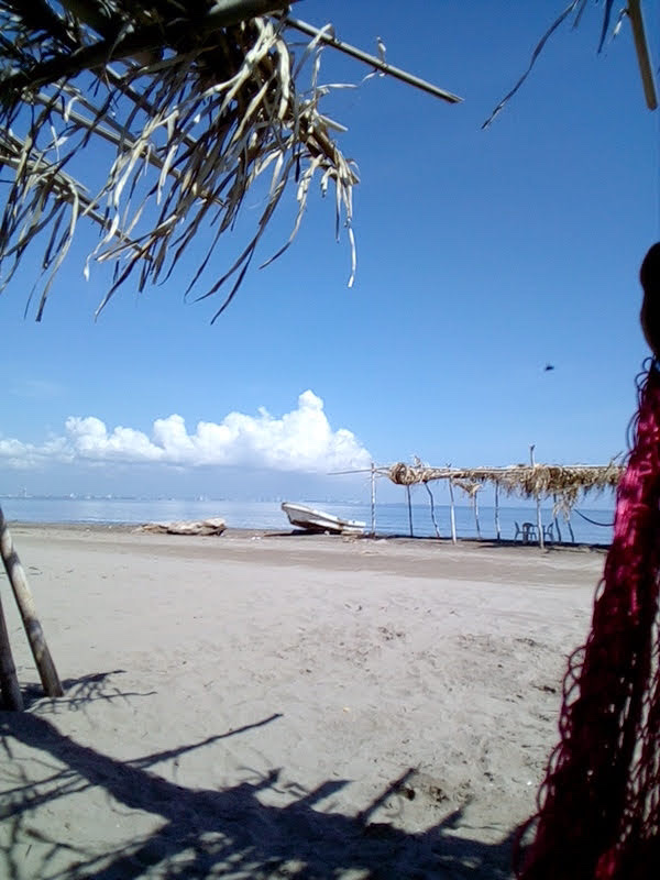 Palapa pantera y Lily Netza image 5