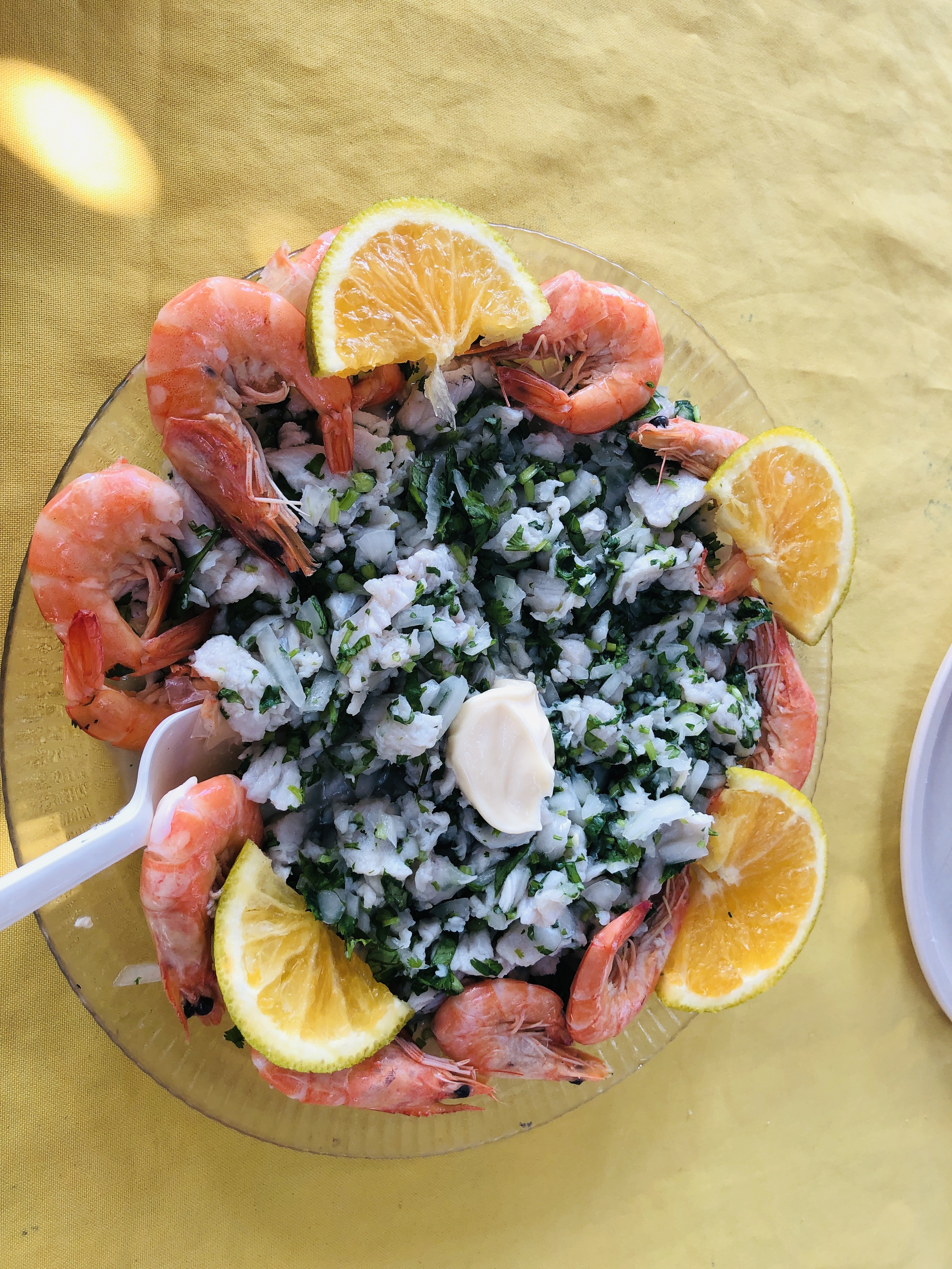 Palapa pantera y Lily Netza image 6