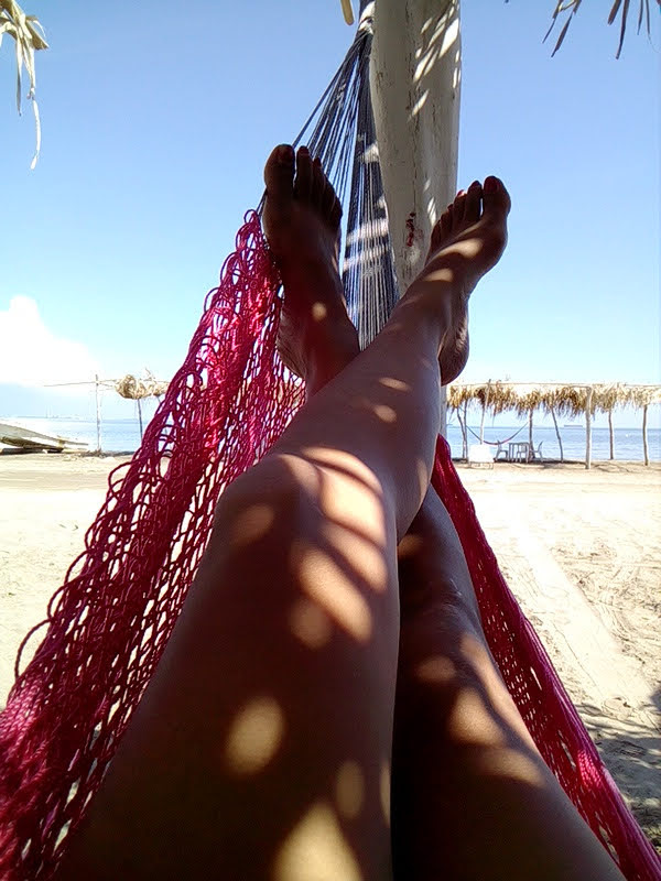 Palapa pantera y Lily Netza image 9