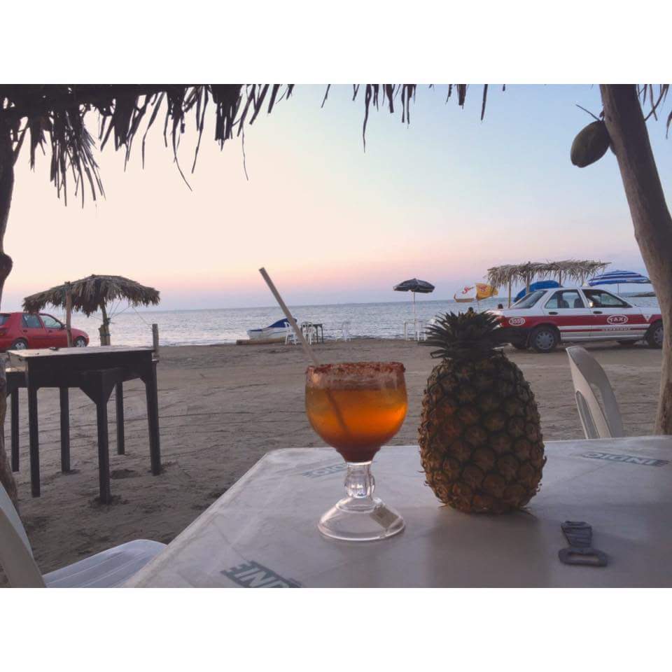 Palapa martha image 1