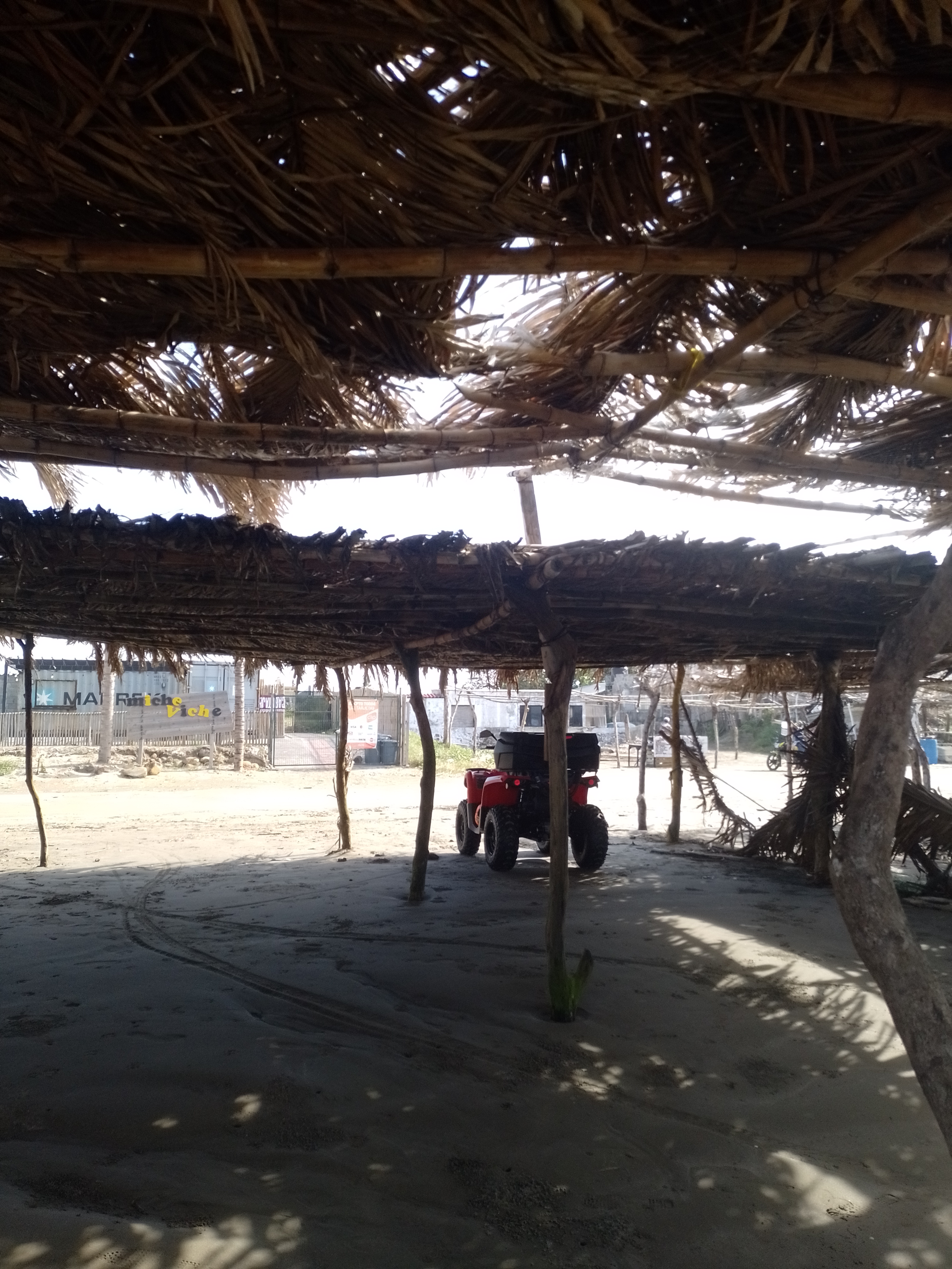 Palapa martha image 2