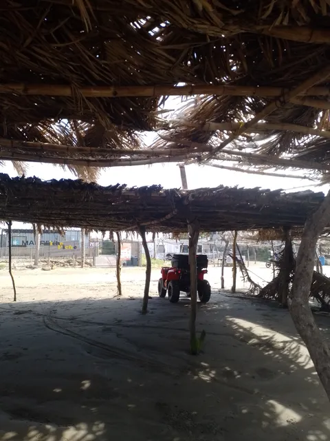 Palapa martha image 2