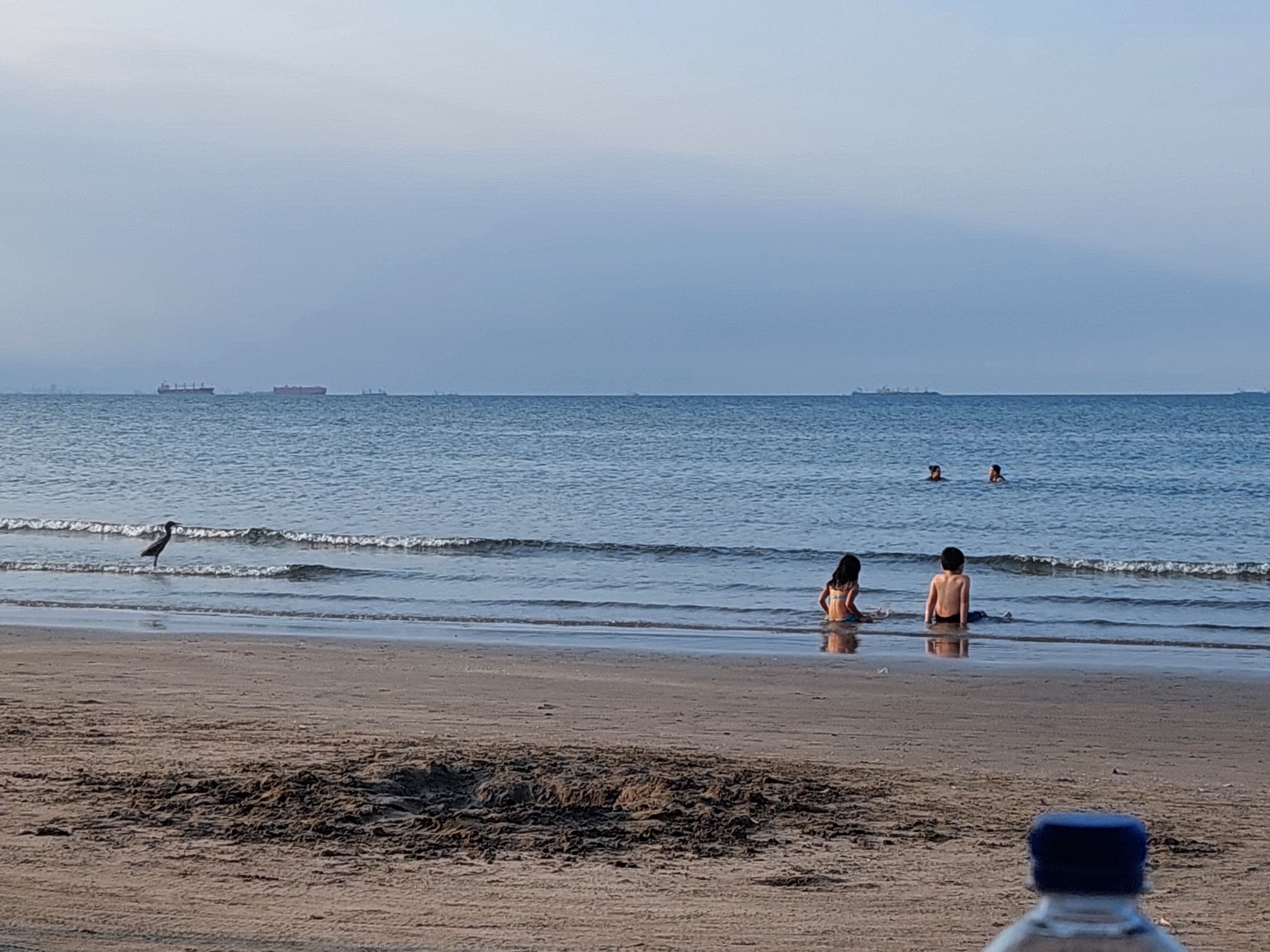 Palapa martha image 3