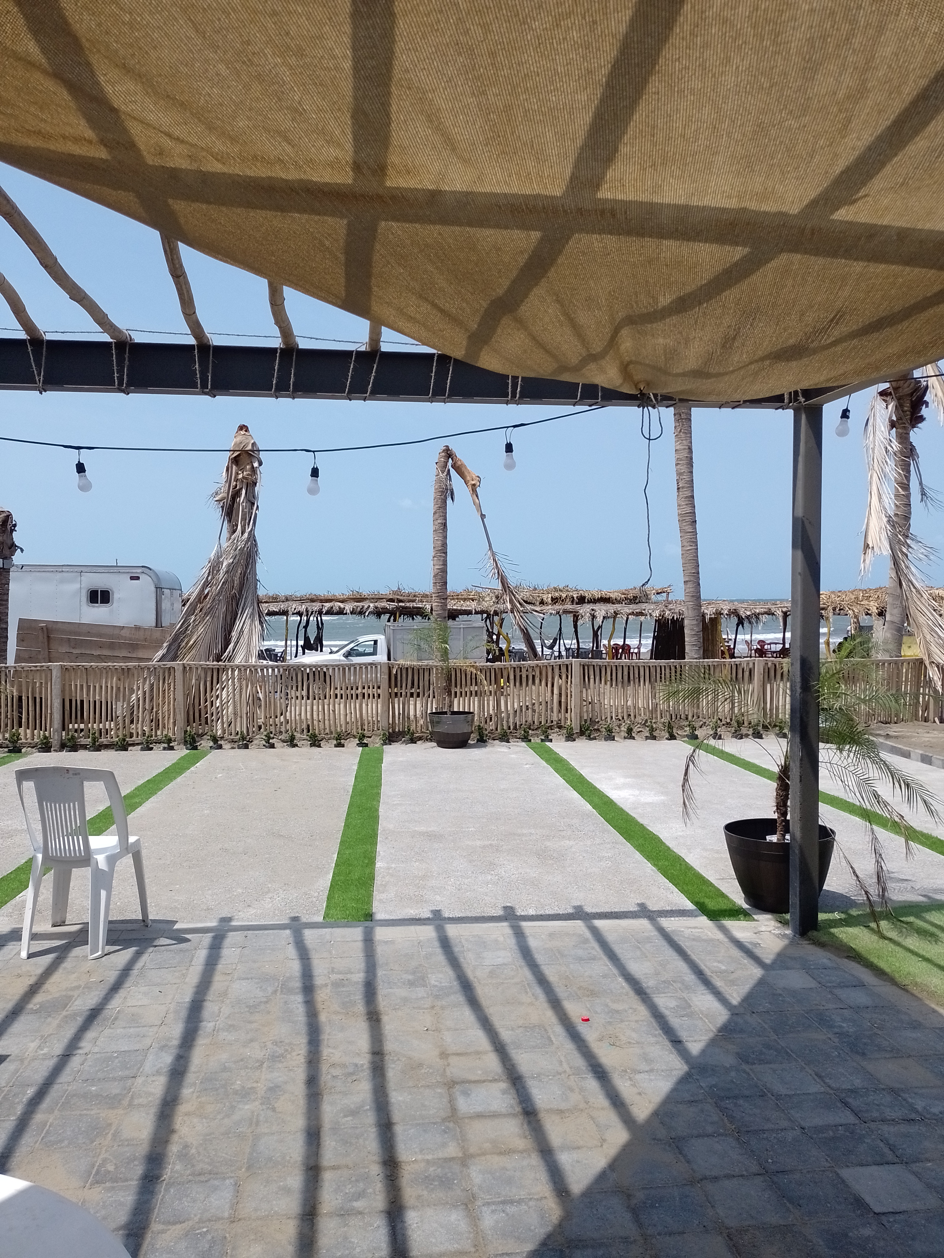 Palapa martha image 4