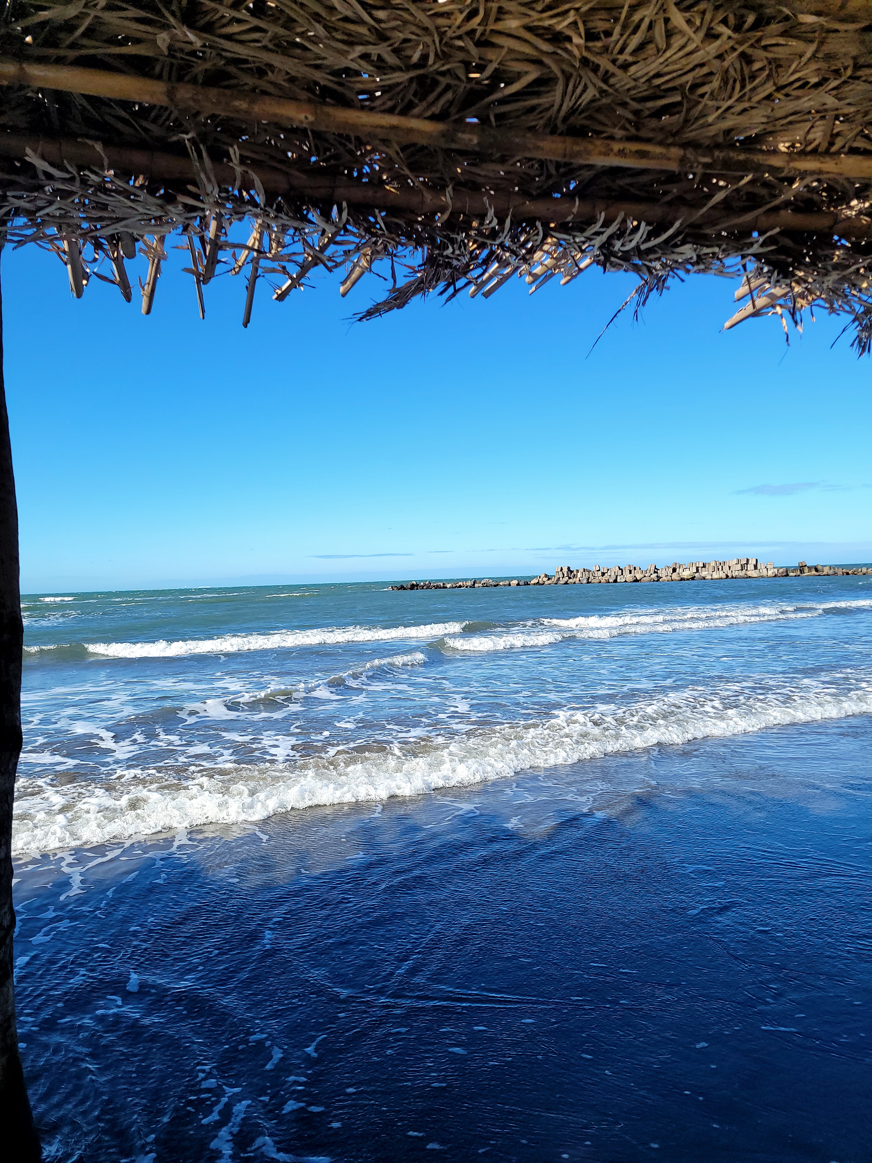 Palapa martha image 5