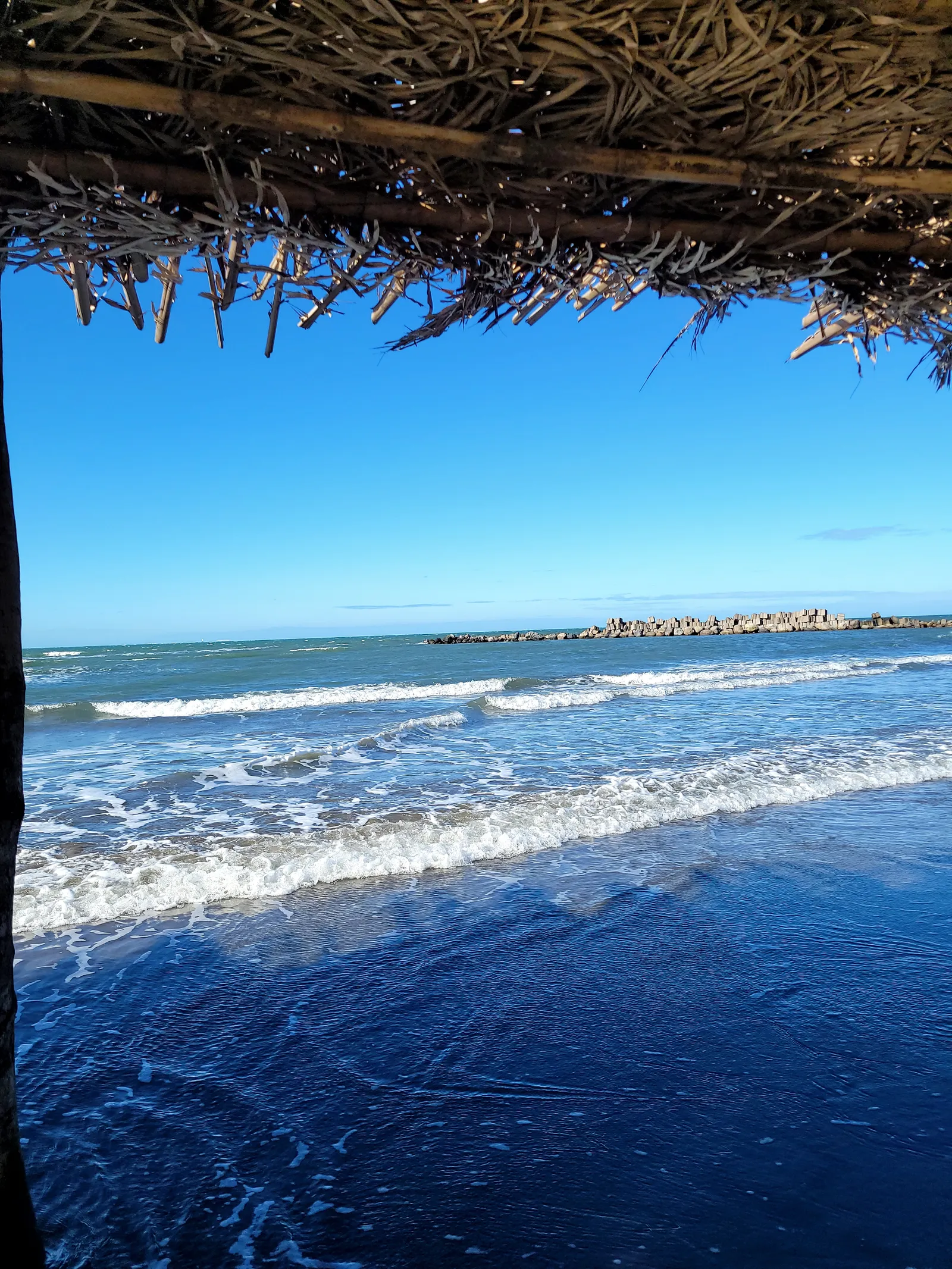 Palapa martha image 5