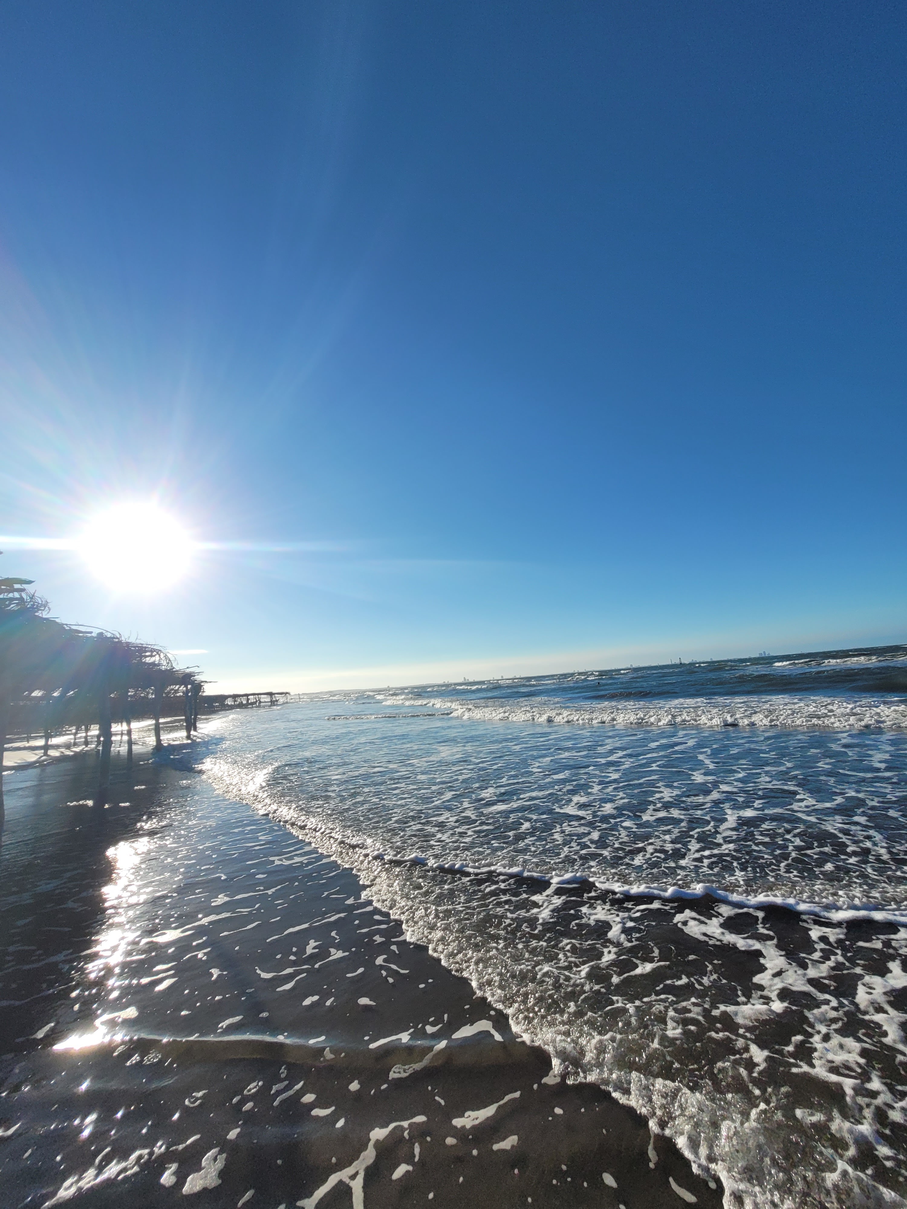 Palapa martha image 6