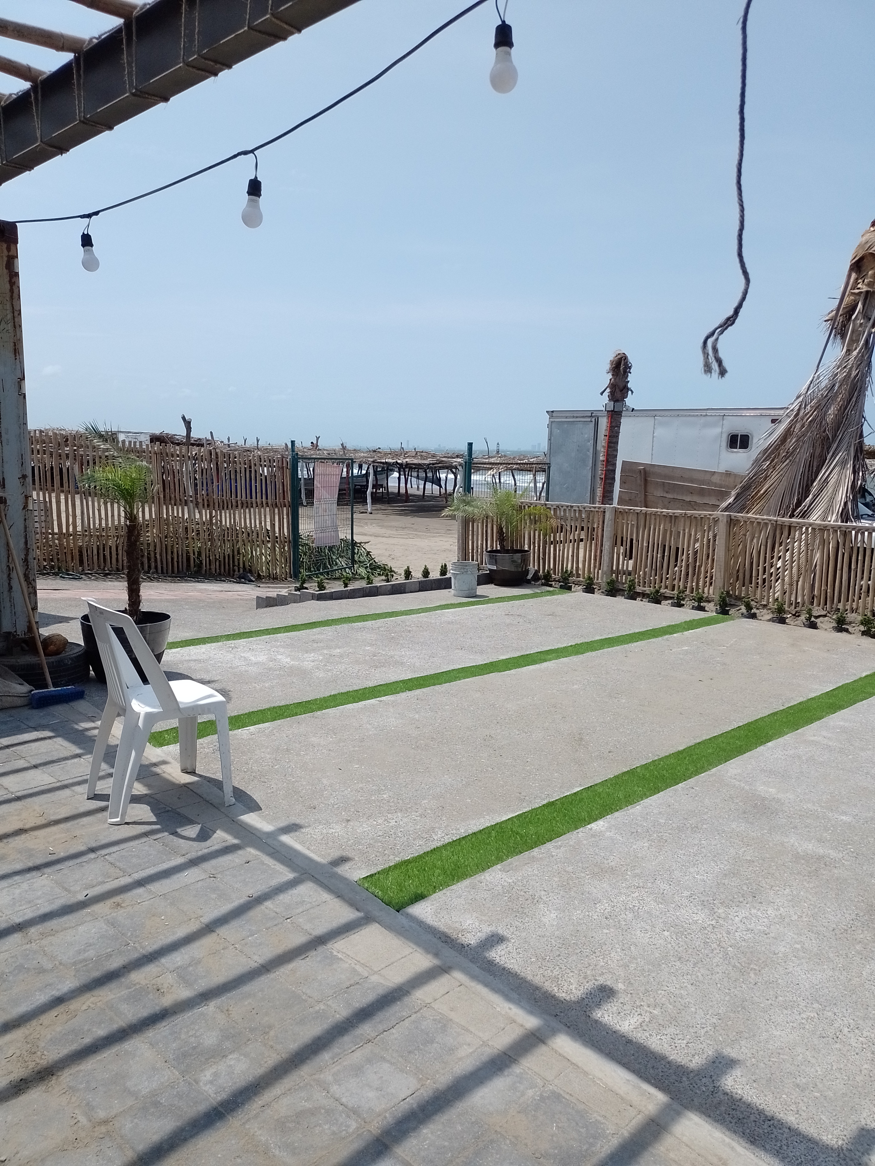 Palapa martha image 7