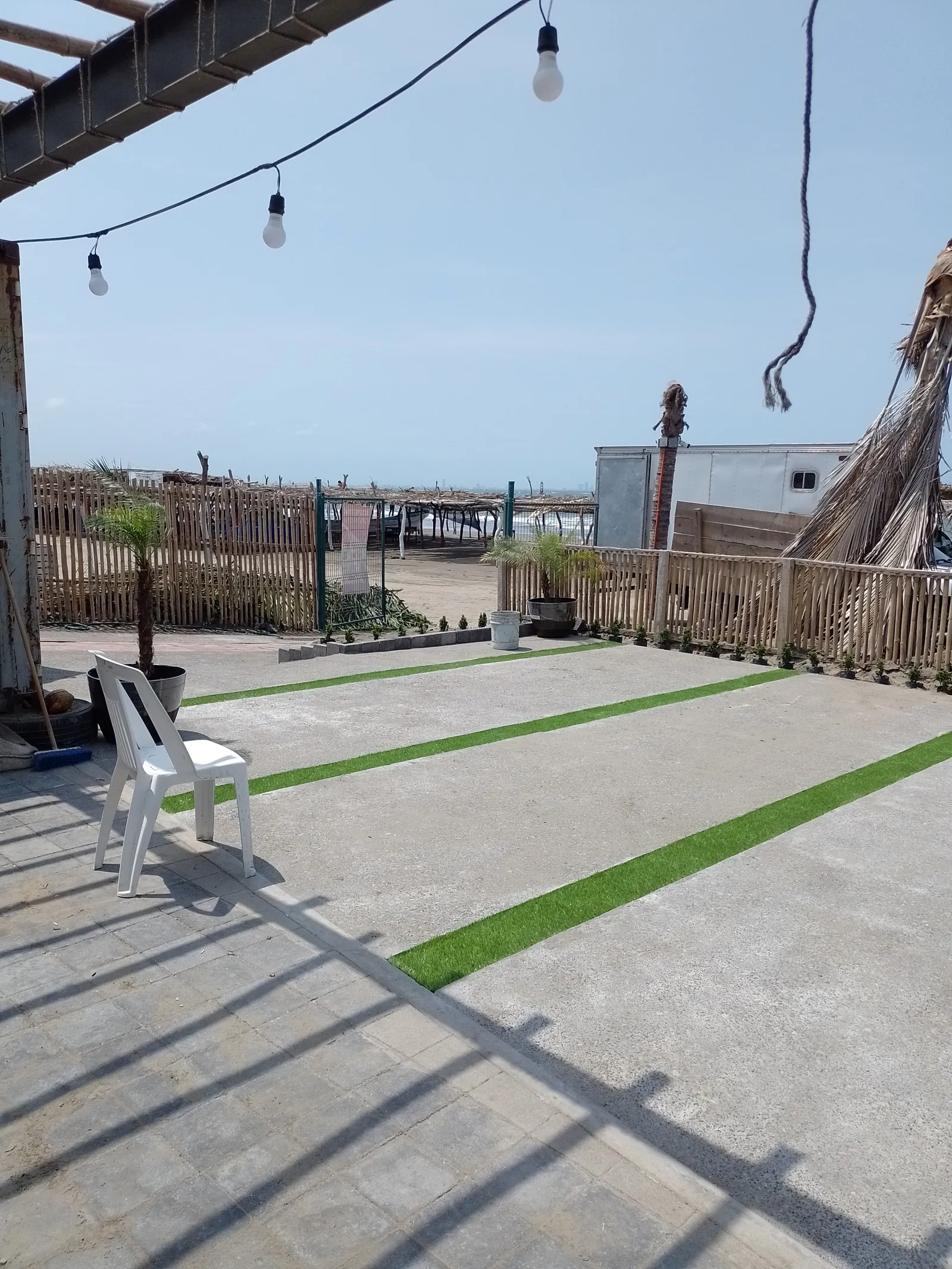 Palapa martha image 7