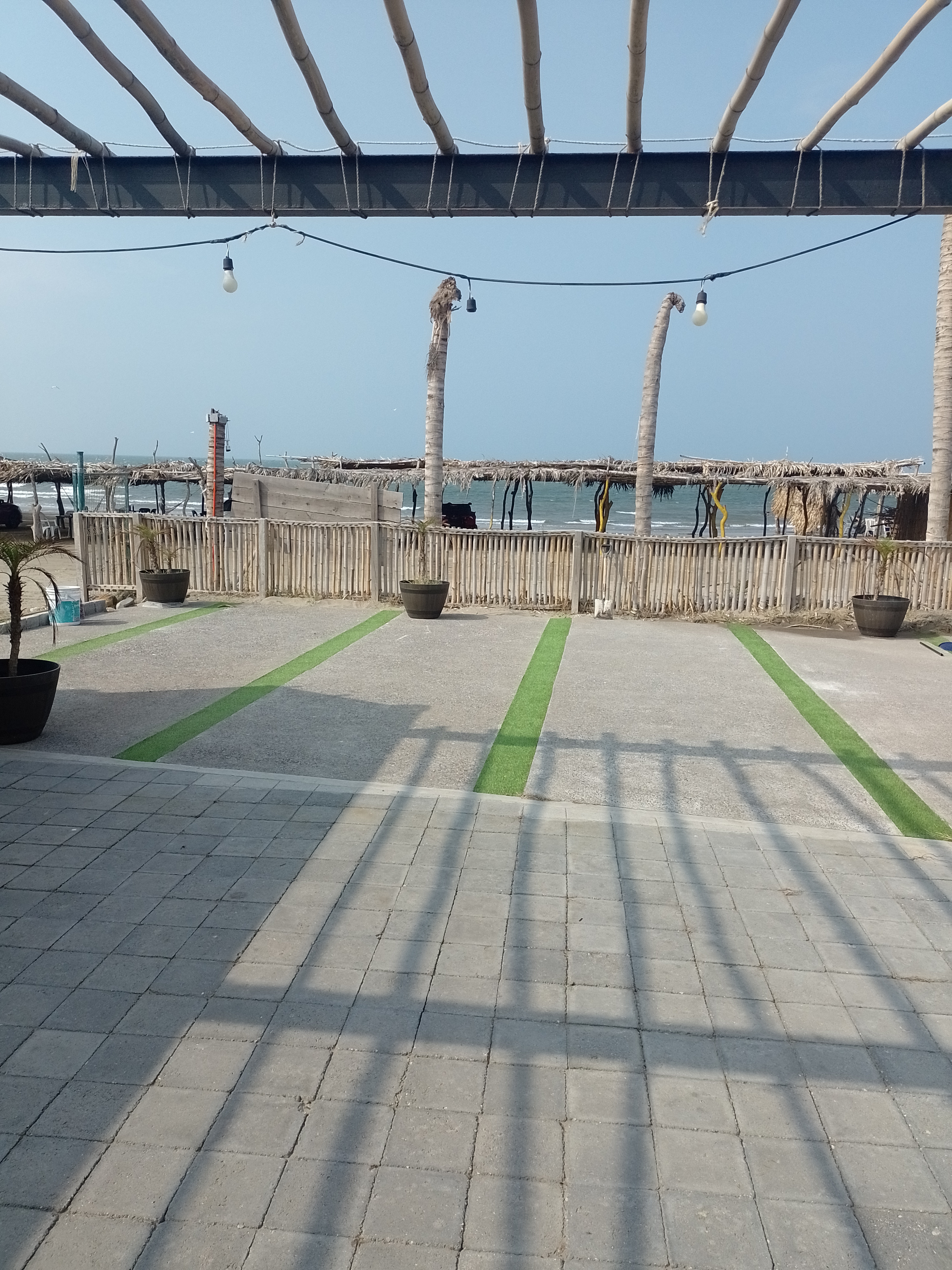 Palapa martha image 9