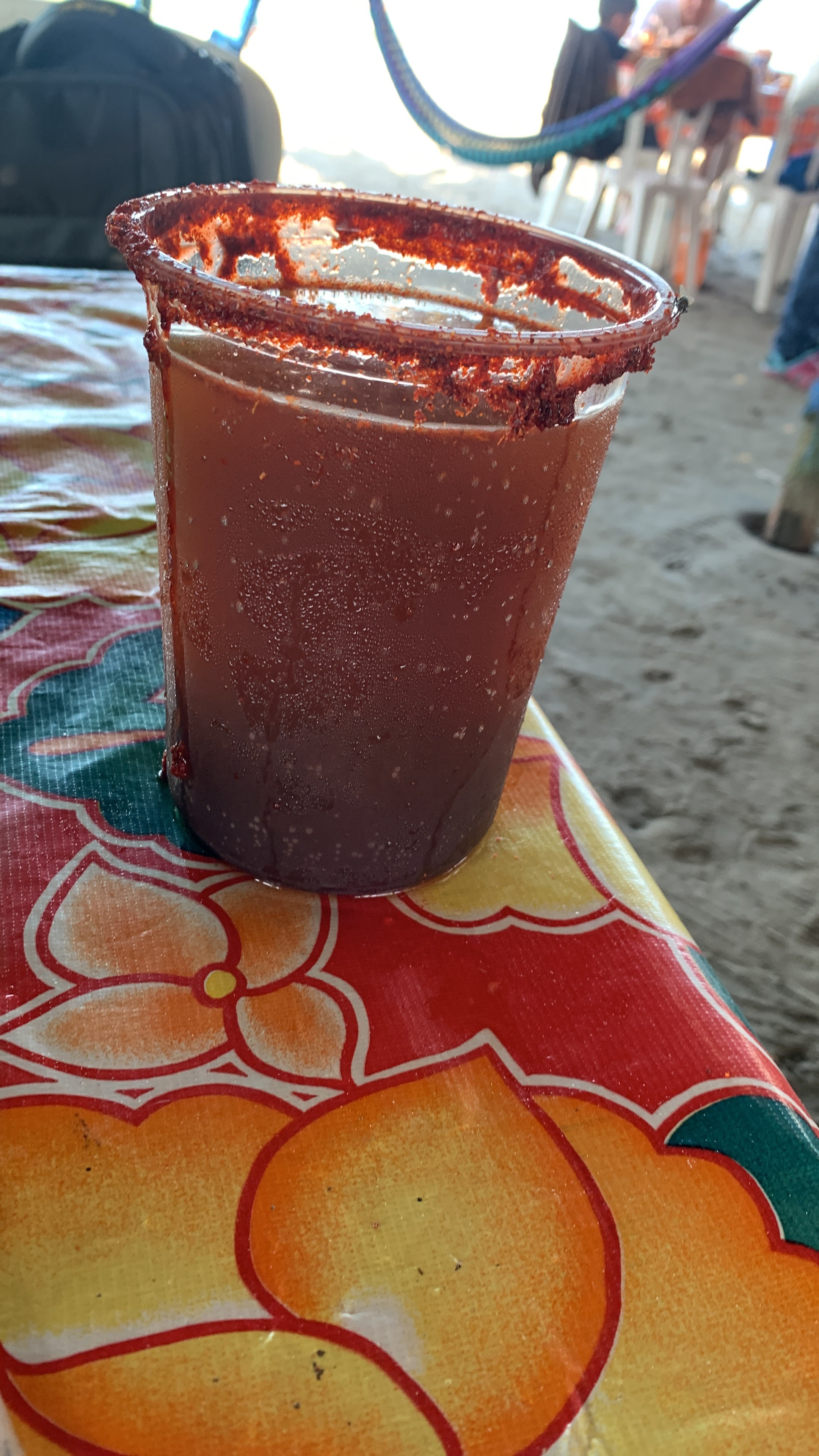 palapa adelita image 2