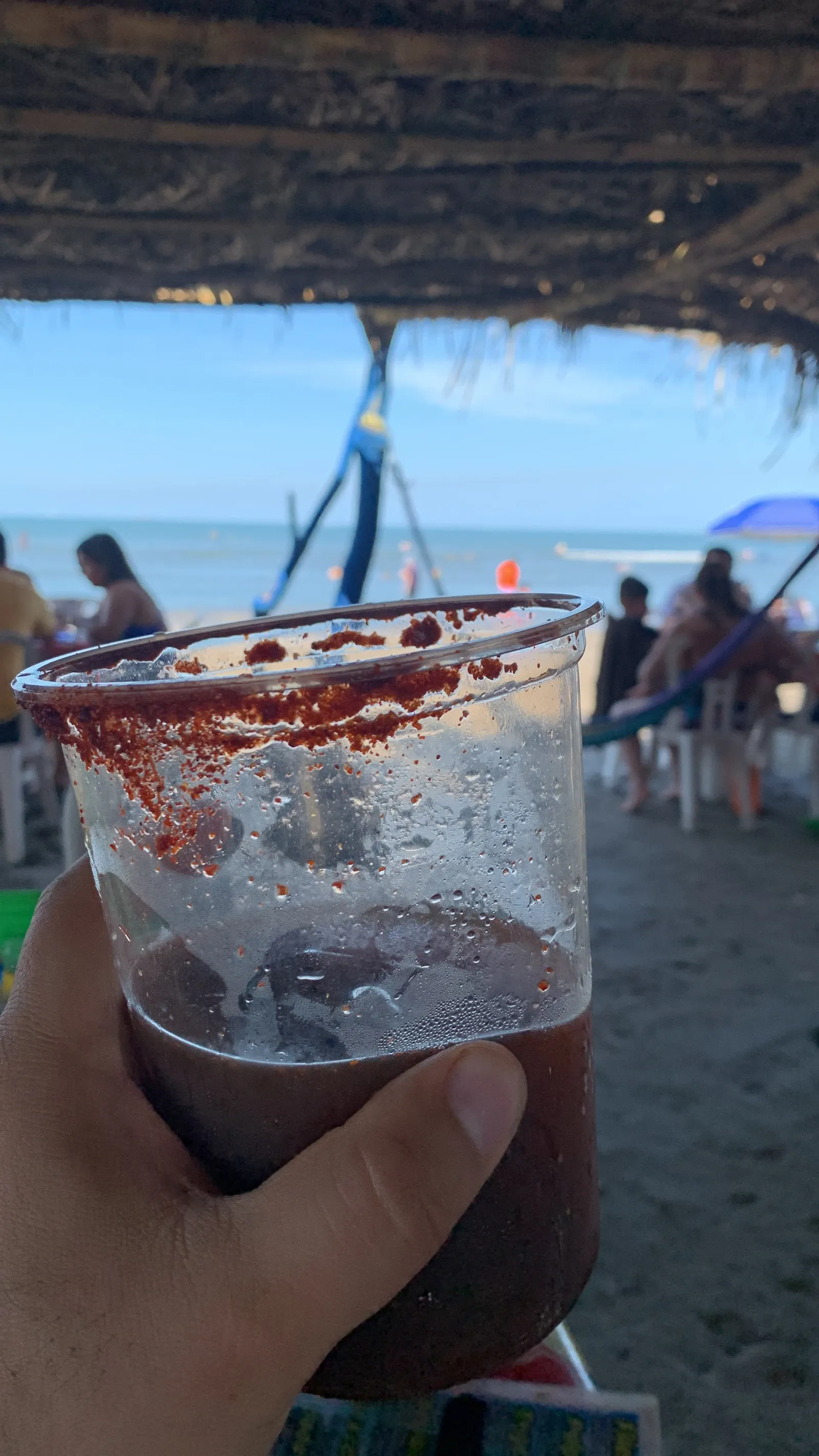 palapa adelita image 4