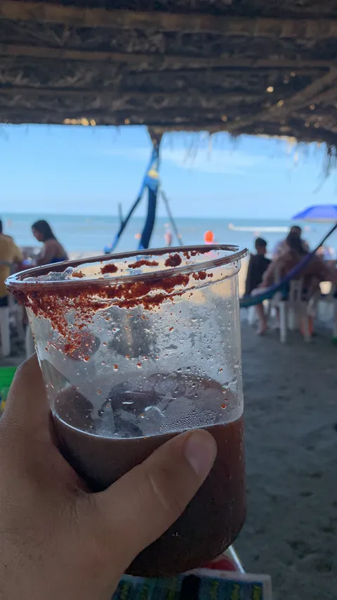 palapa adelita image 4