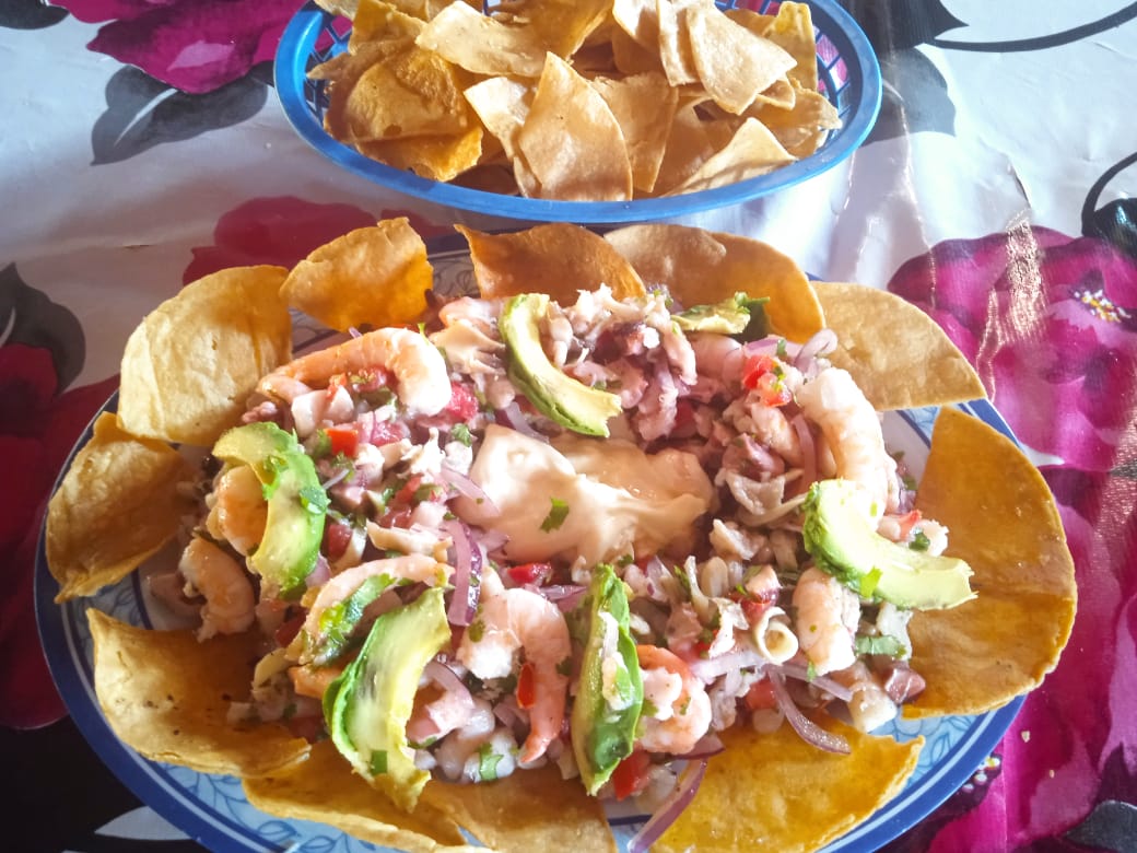 palapa adelita image 5