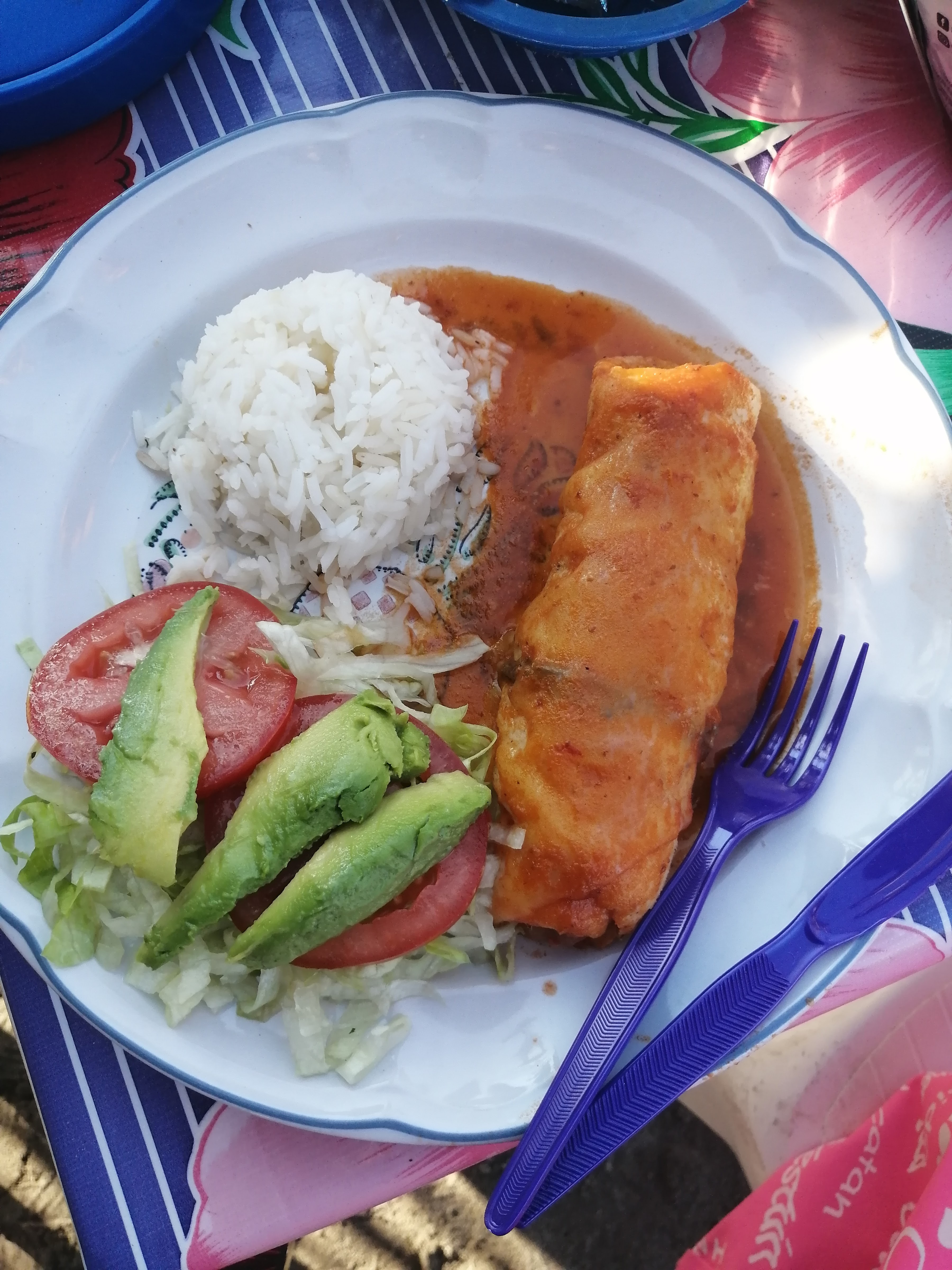 palapa adelita image 6