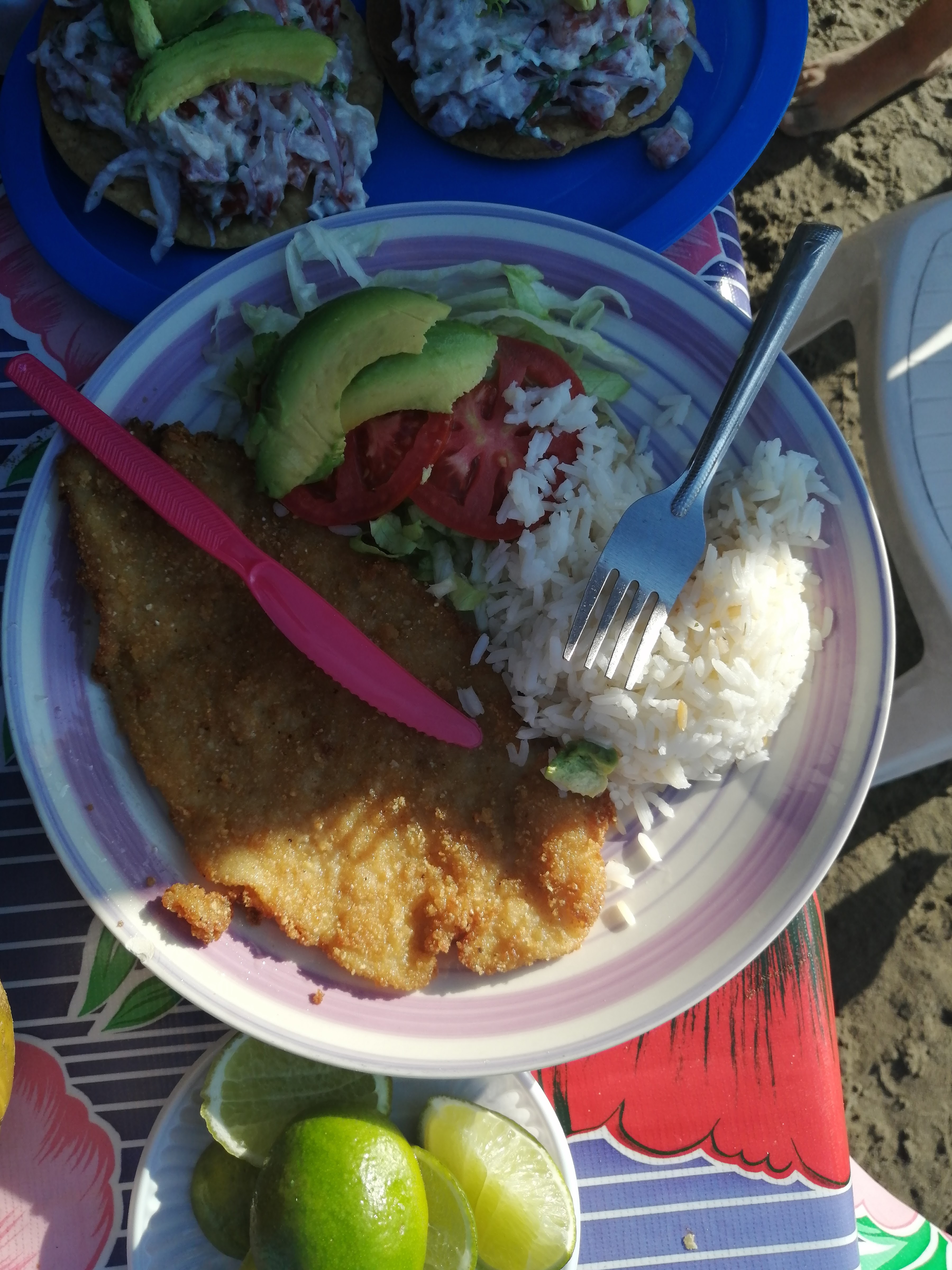 palapa adelita image 9