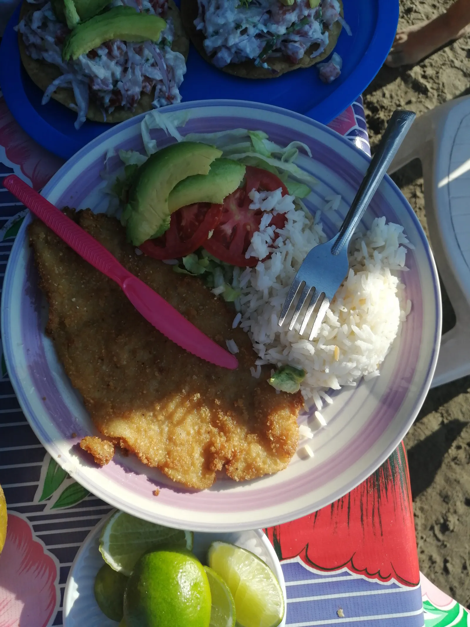 palapa adelita image 9