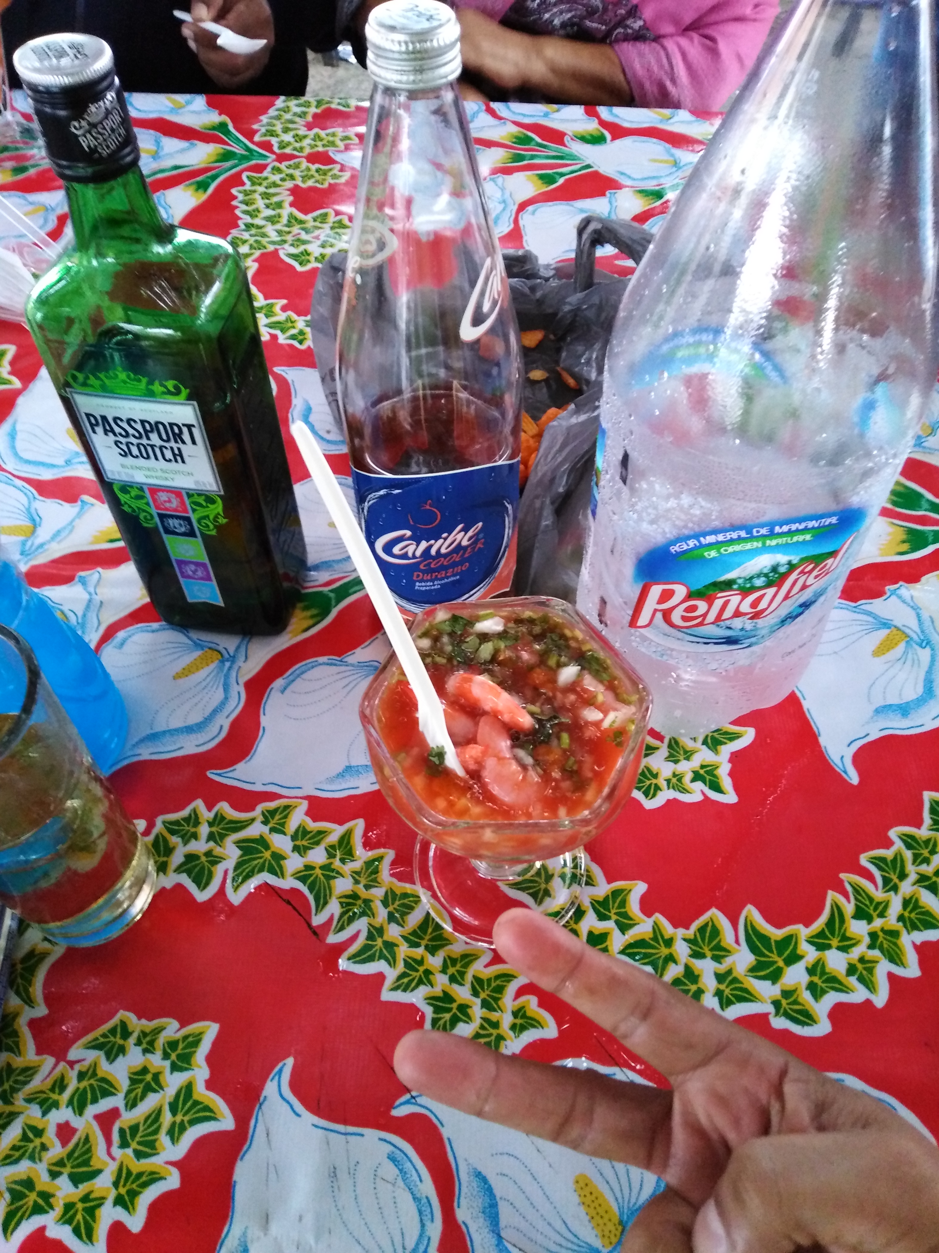 palapa adelita image 10